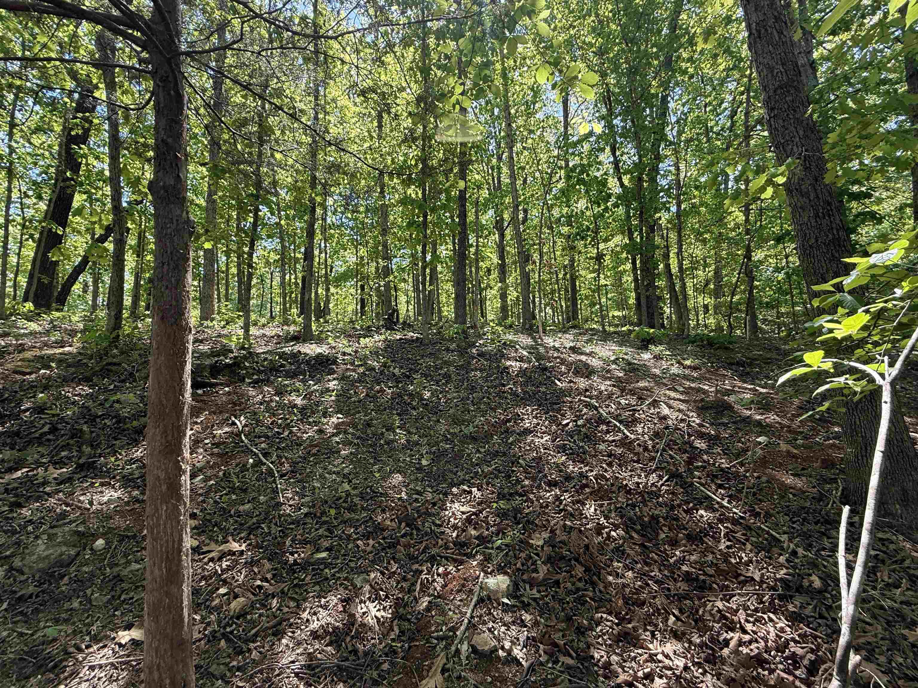 Photo 11 - Vacant Land for sale – 200  Isabella Lane   Horseshoe Bend, AR