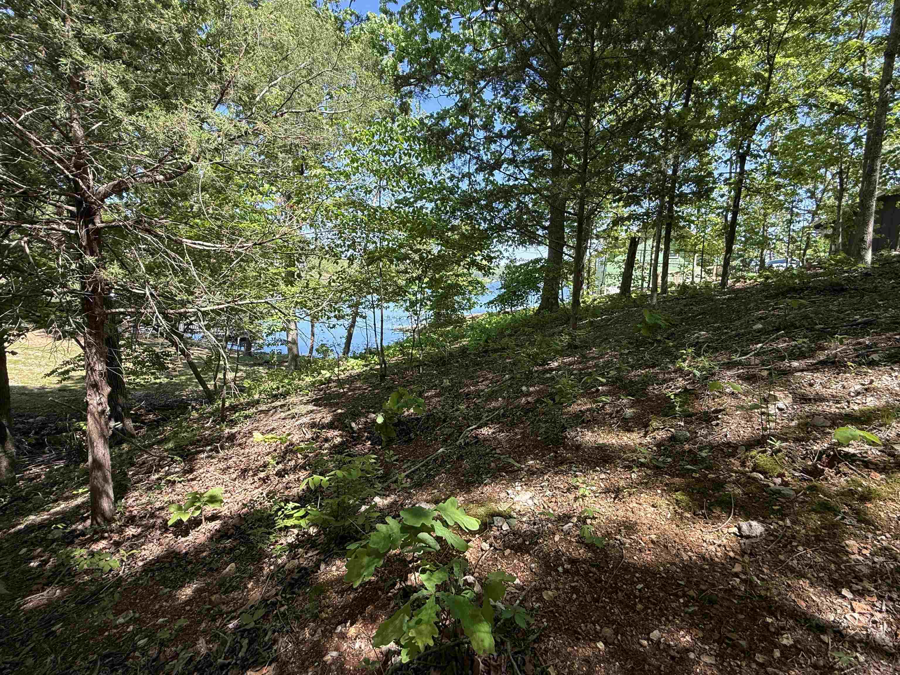 Photo 12 - Vacant Land for sale – 200  Isabella Lane   Horseshoe Bend, AR