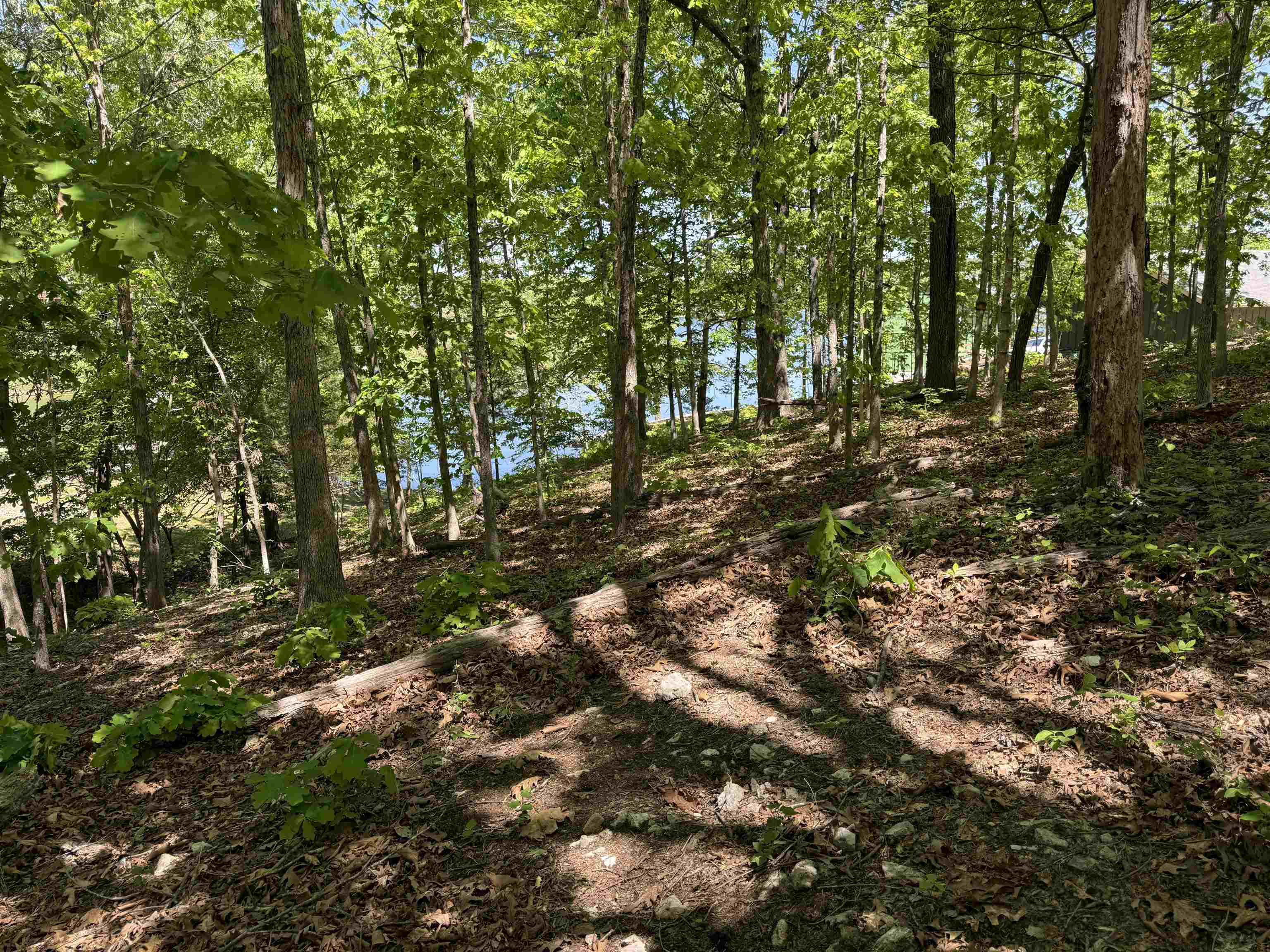 Photo 13 - Vacant Land for sale – 200  Isabella Lane   Horseshoe Bend, AR