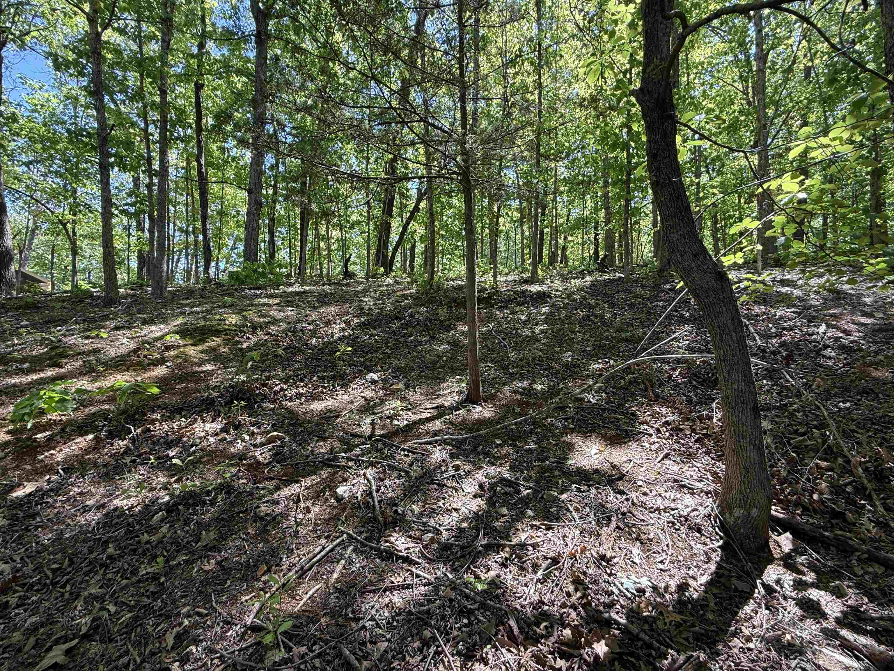 Photo 9 - Vacant Land for sale – 200  Isabella Lane   Horseshoe Bend, AR