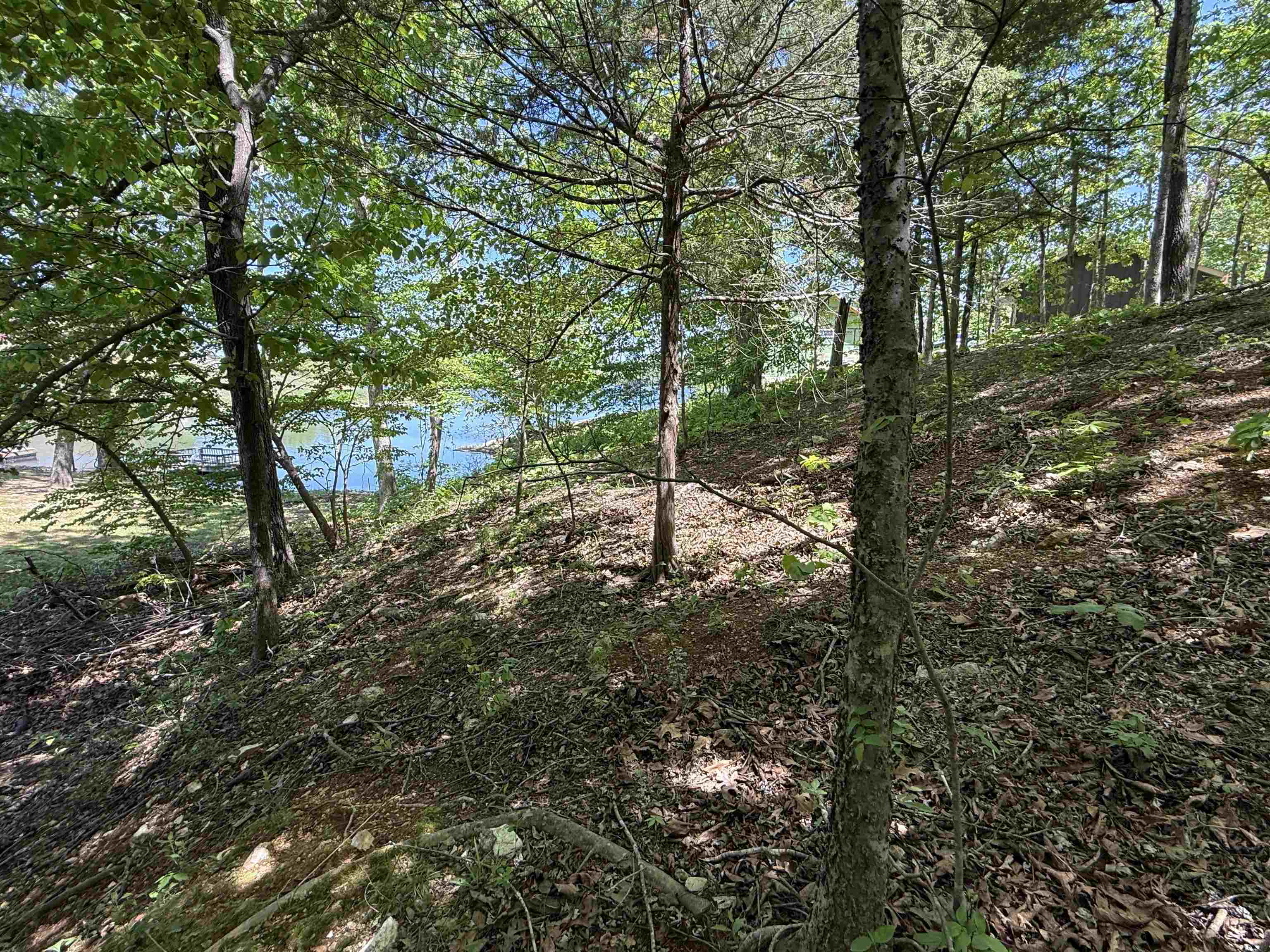 Photo 10 - Vacant Land for sale – 200  Isabella Lane   Horseshoe Bend, AR