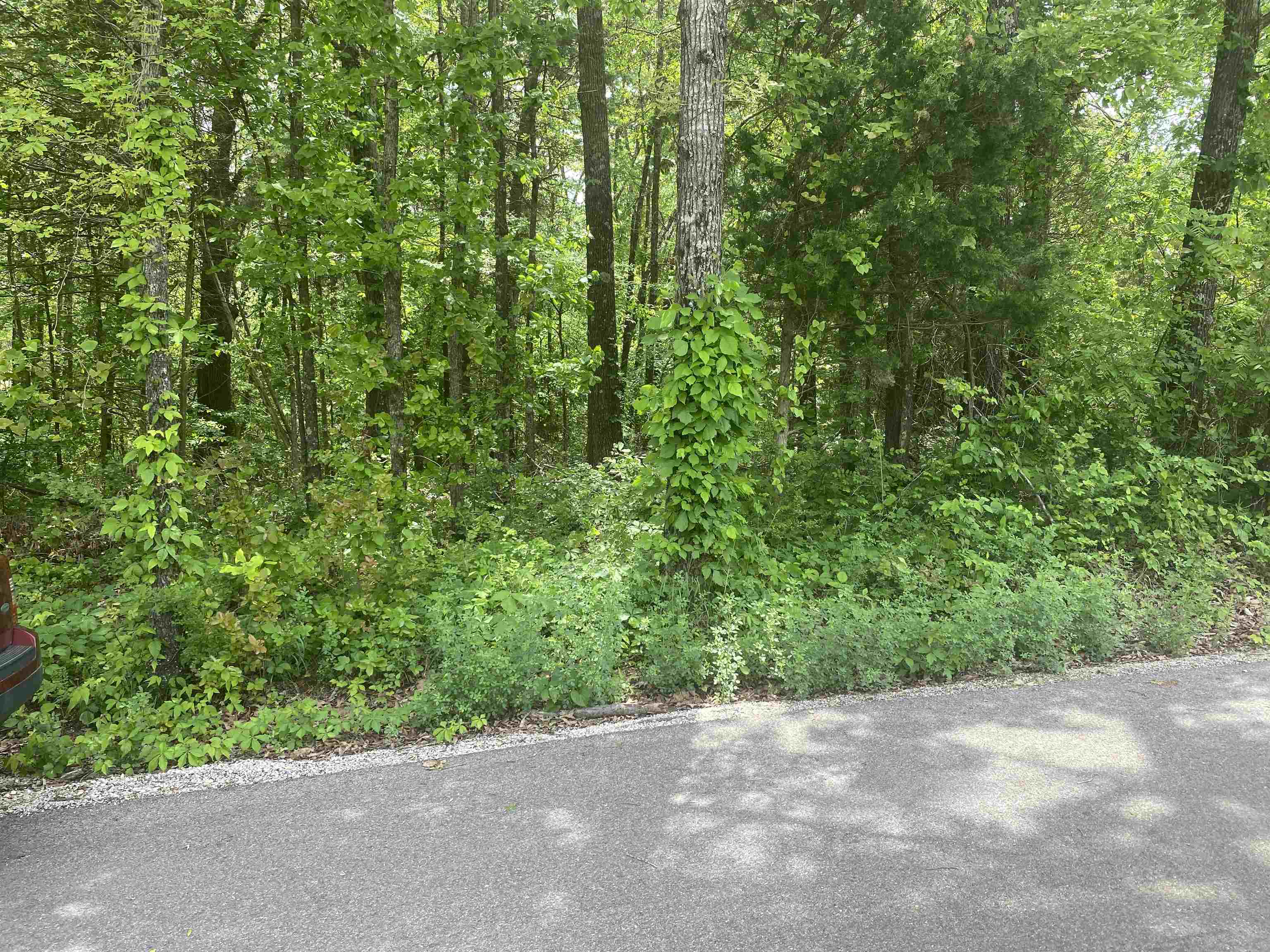 Vacant Land for sale – 144  Elm Street   Pineville, AR