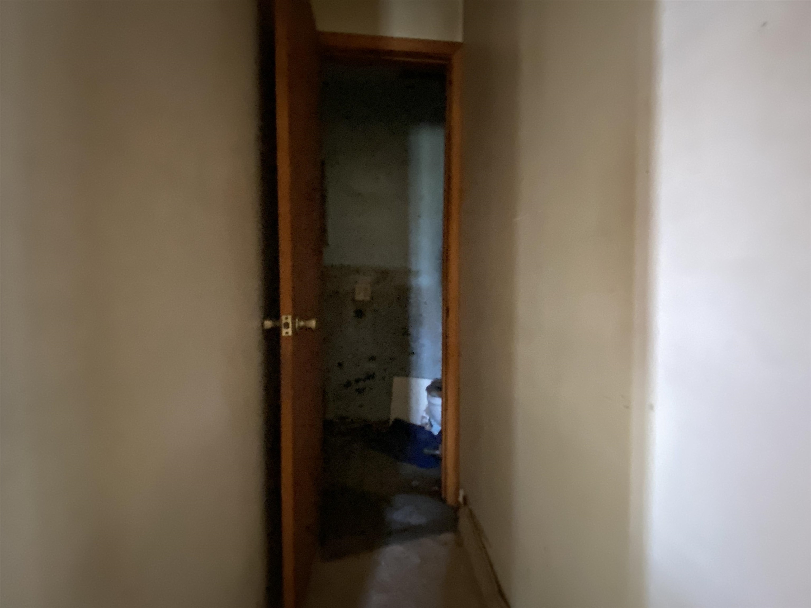 Photo 10 - Residential for sale – 119  Chessmond Ferry Road   Calico Rock, AR