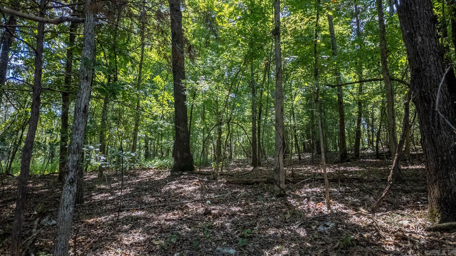 Photo 4 - Vacant Land for sale – Lots 13 & 14  Riverbend Road   Mammoth Spring, AR