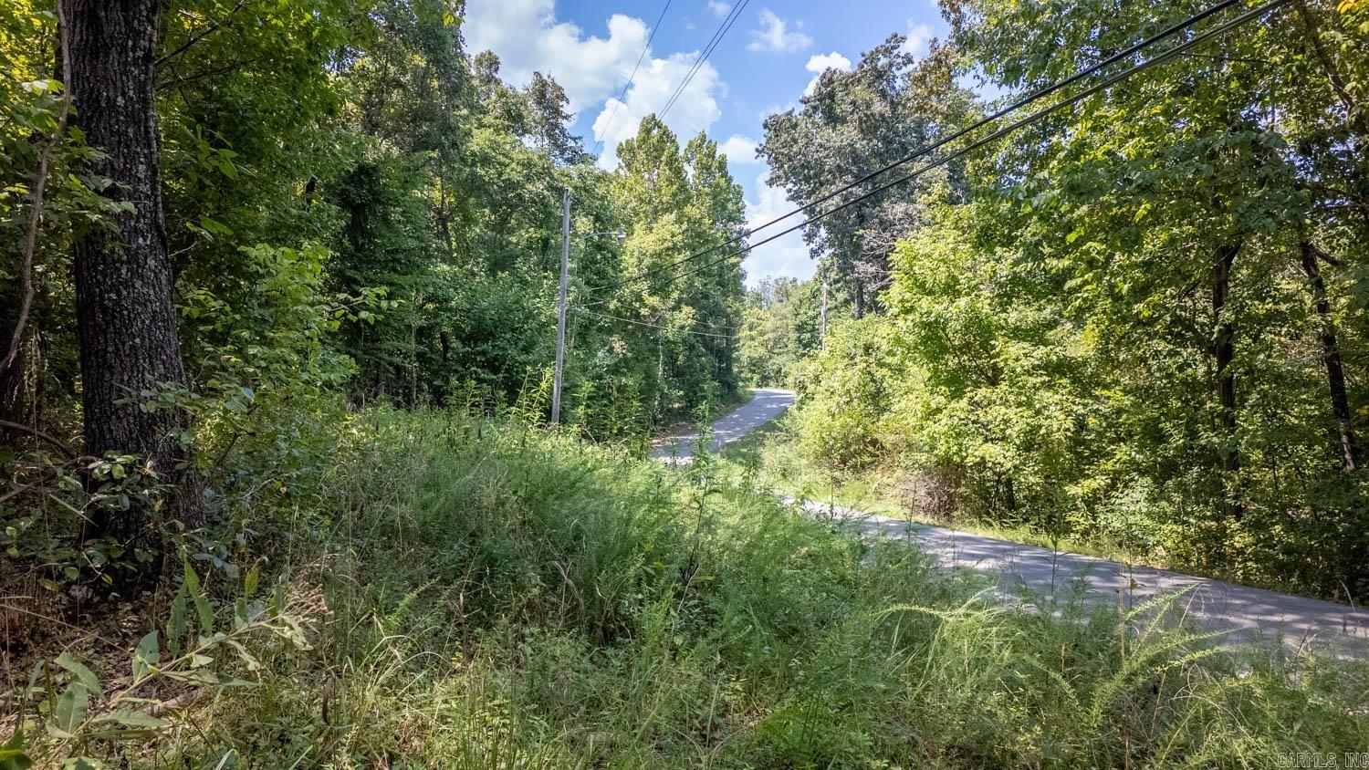 Photo 6 - Vacant Land for sale – Lots 13 & 14  Riverbend Road   Mammoth Spring, AR