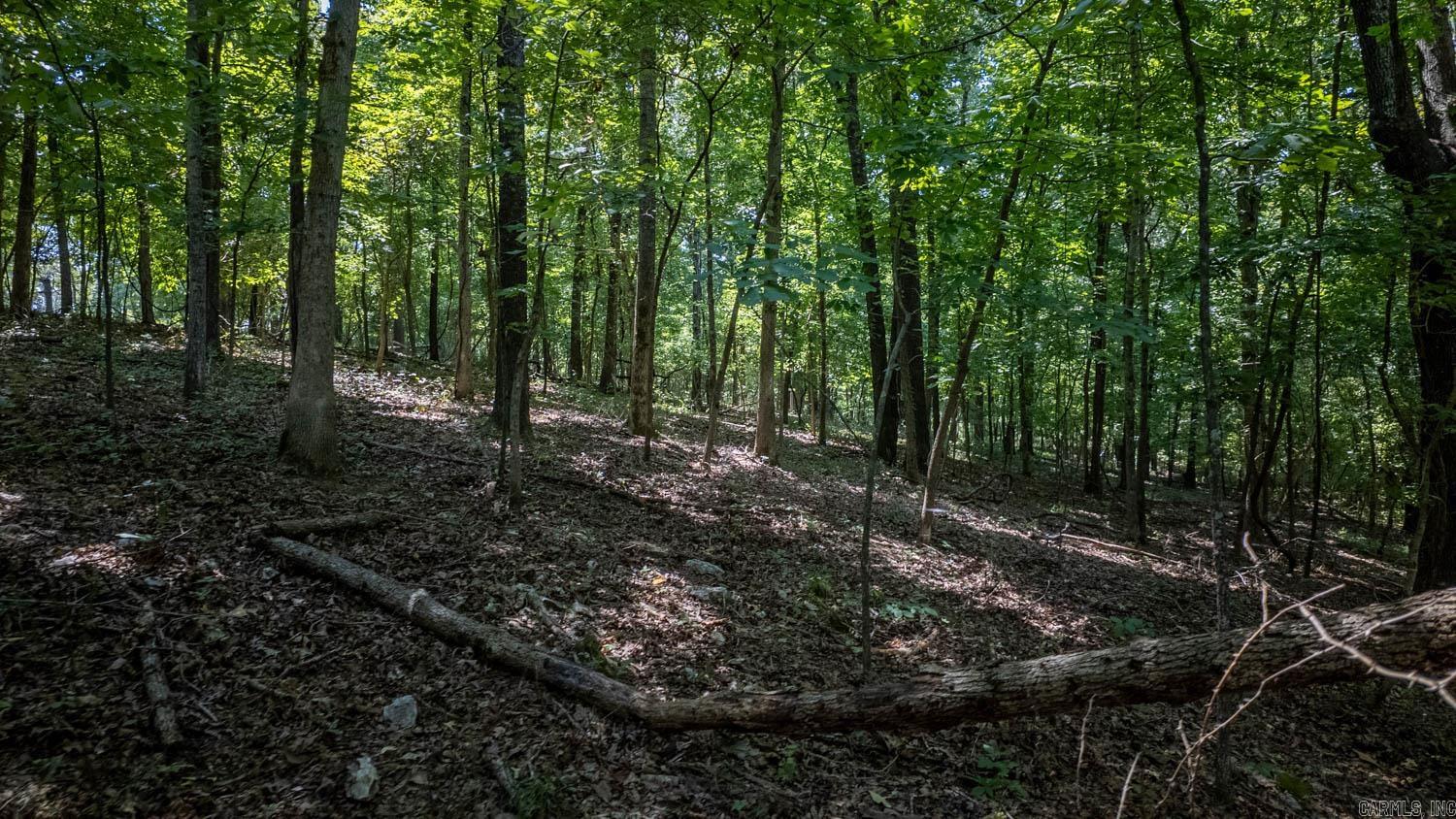 Photo 7 - Vacant Land for sale – Lots 13 & 14  Riverbend Road   Mammoth Spring, AR