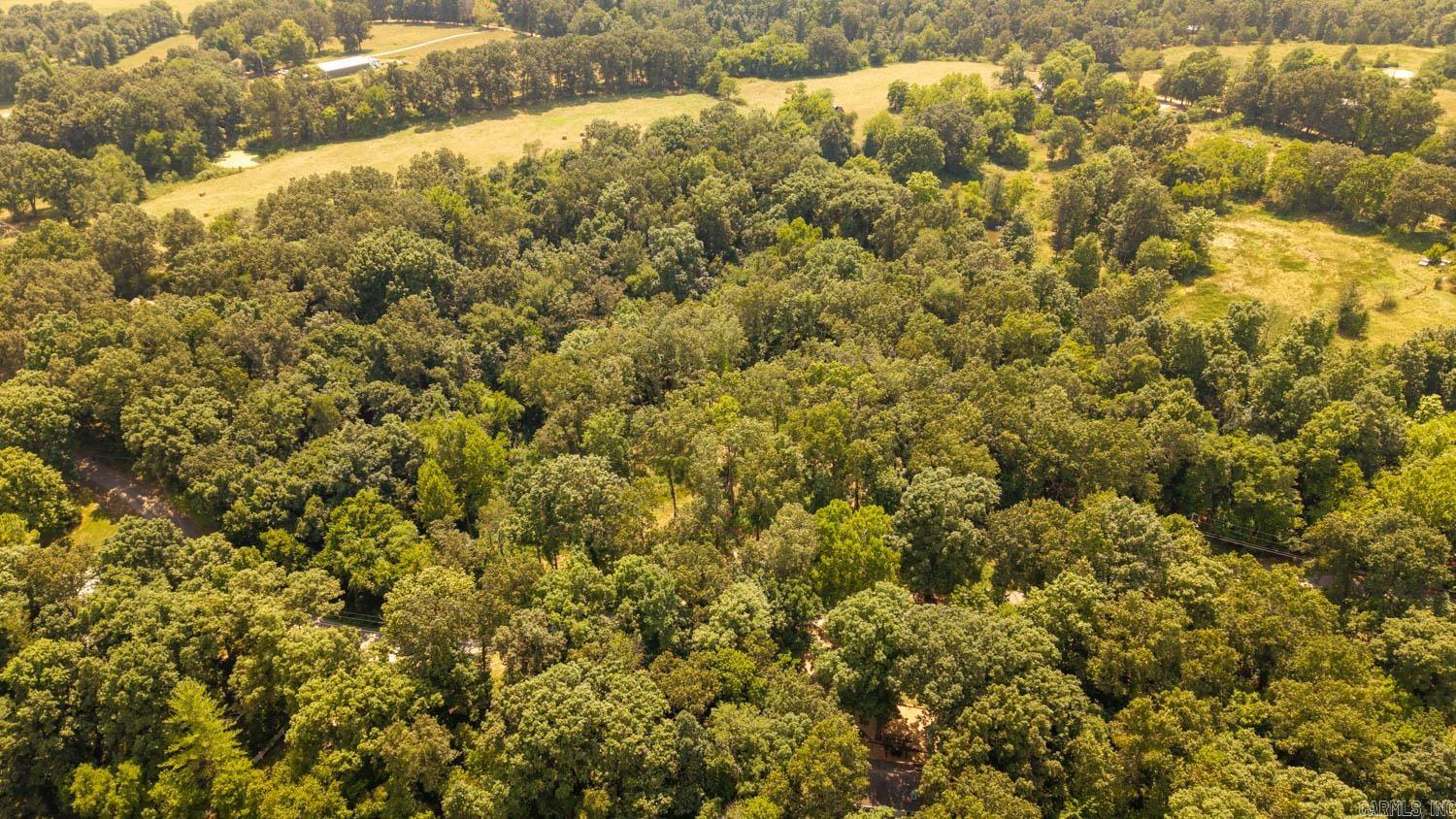 Photo 8 - Vacant Land for sale – Lots 13 & 14  Riverbend Road   Mammoth Spring, AR