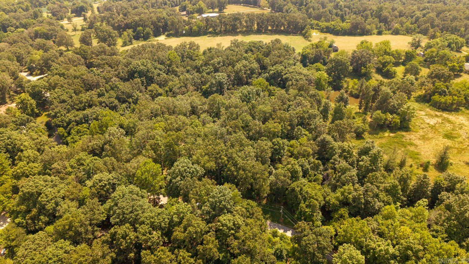 Photo 9 - Vacant Land for sale – Lots 13 & 14  Riverbend Road   Mammoth Spring, AR