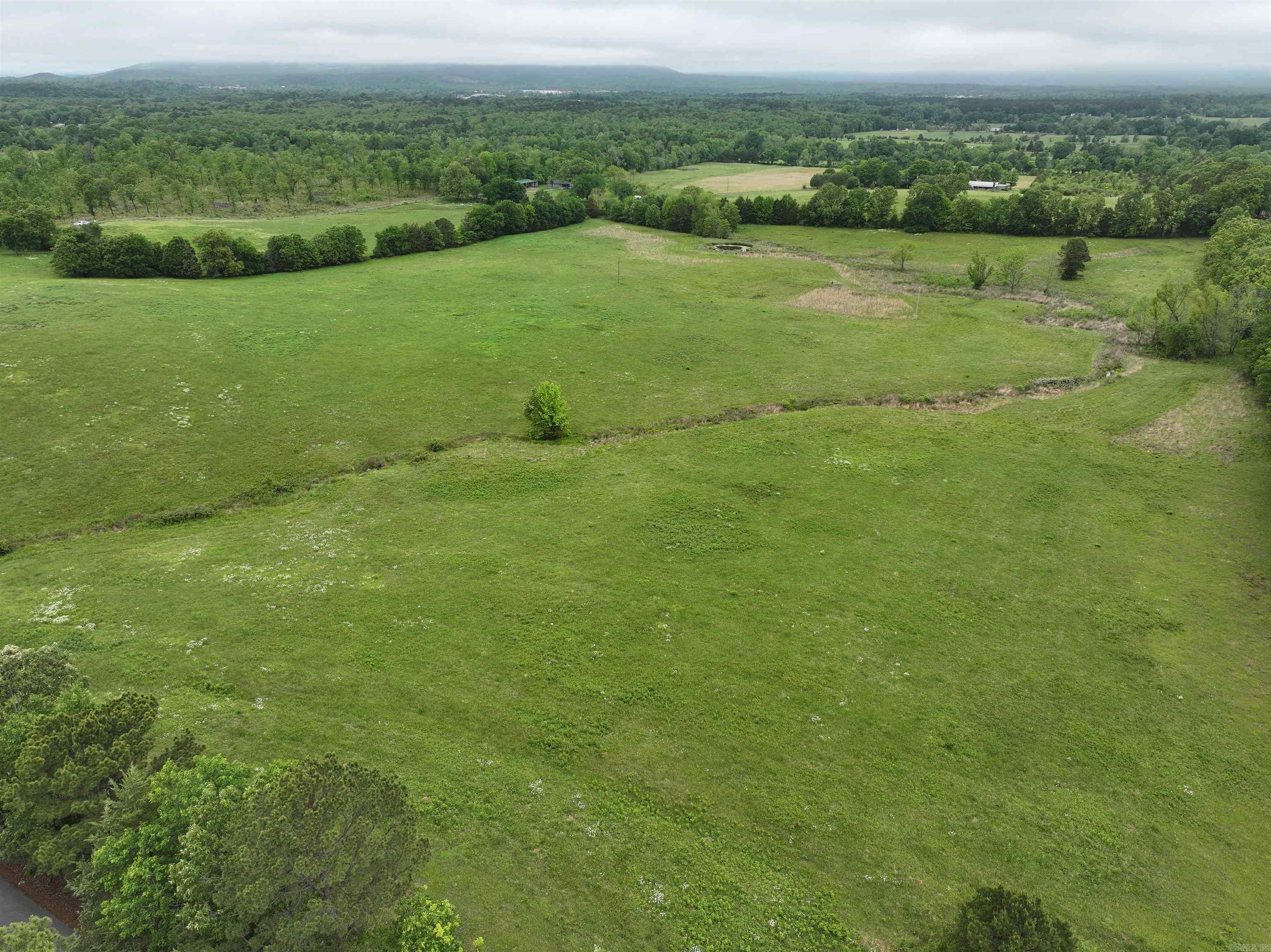 Farm/Ranch/Land for sale – TBD  Polk Road 53   Mena, AR
