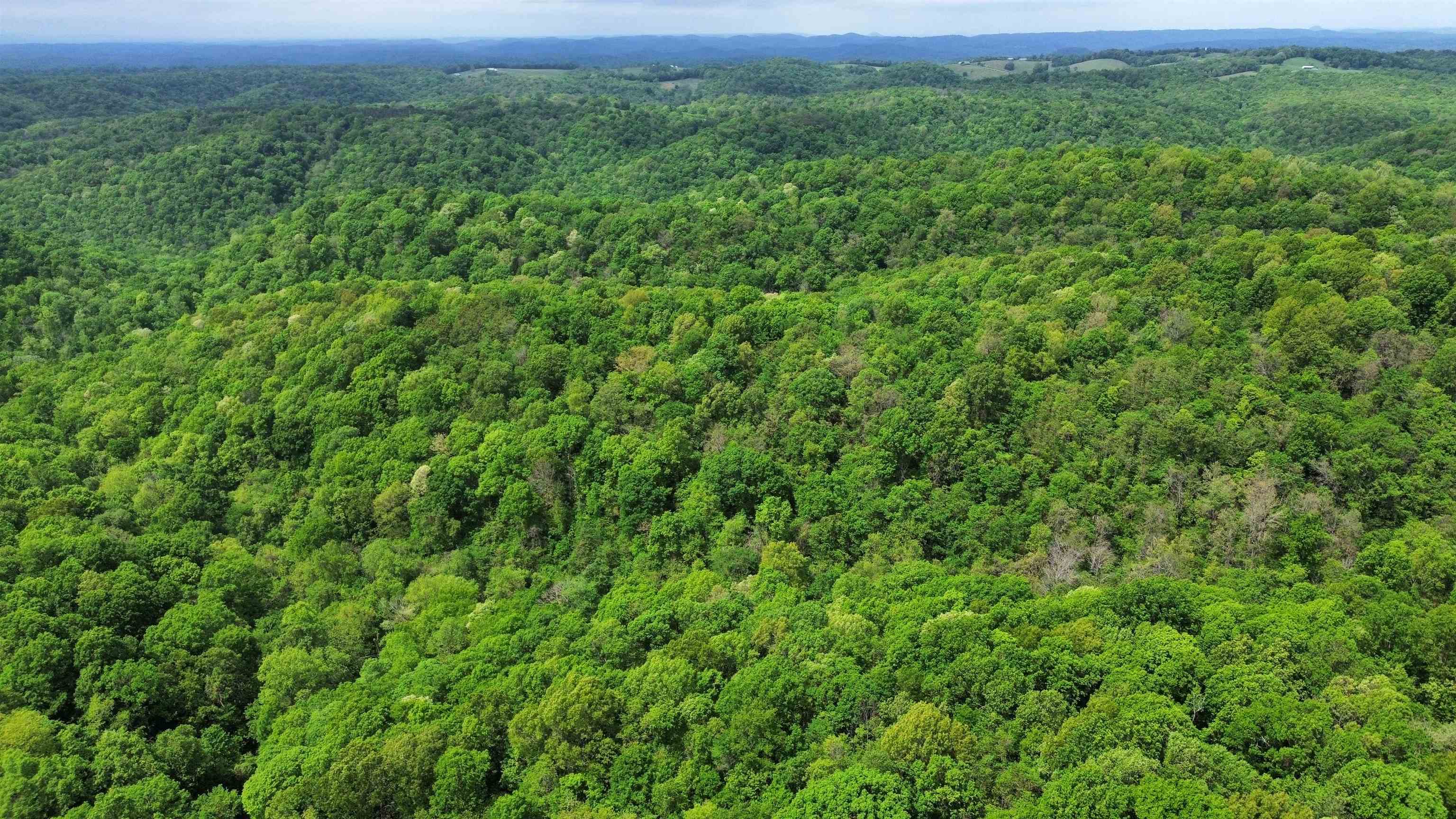 Photo 2 - Vacant Land for sale – 104A  Williamson Trail   Guion, AR