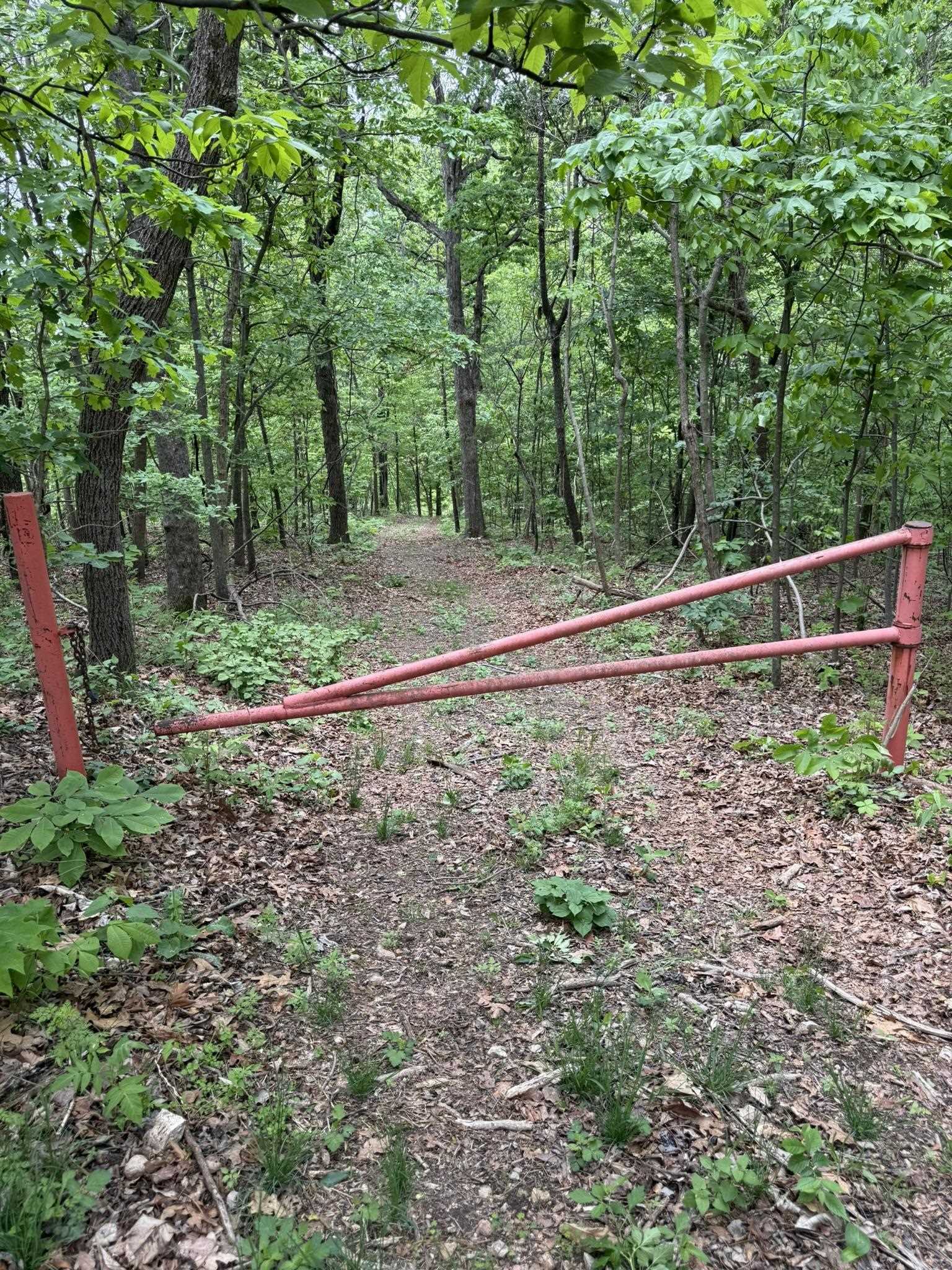 Photo 11 - Vacant Land for sale – 104A  Williamson Trail   Guion, AR