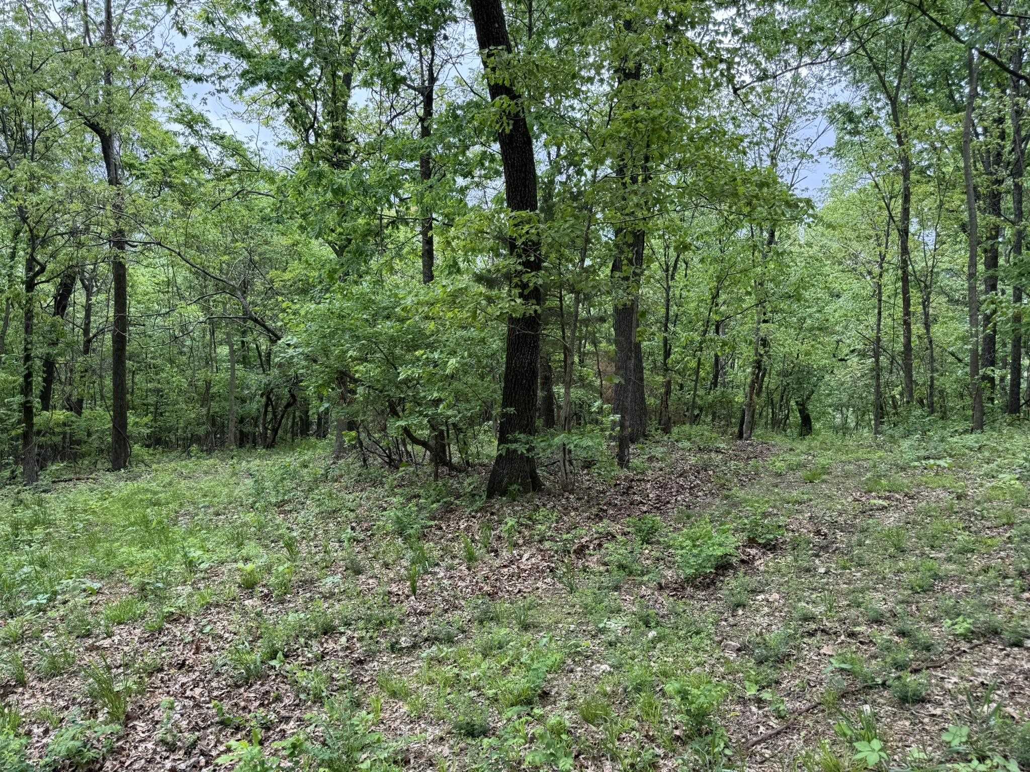 Photo 12 - Vacant Land for sale – 104A  Williamson Trail   Guion, AR