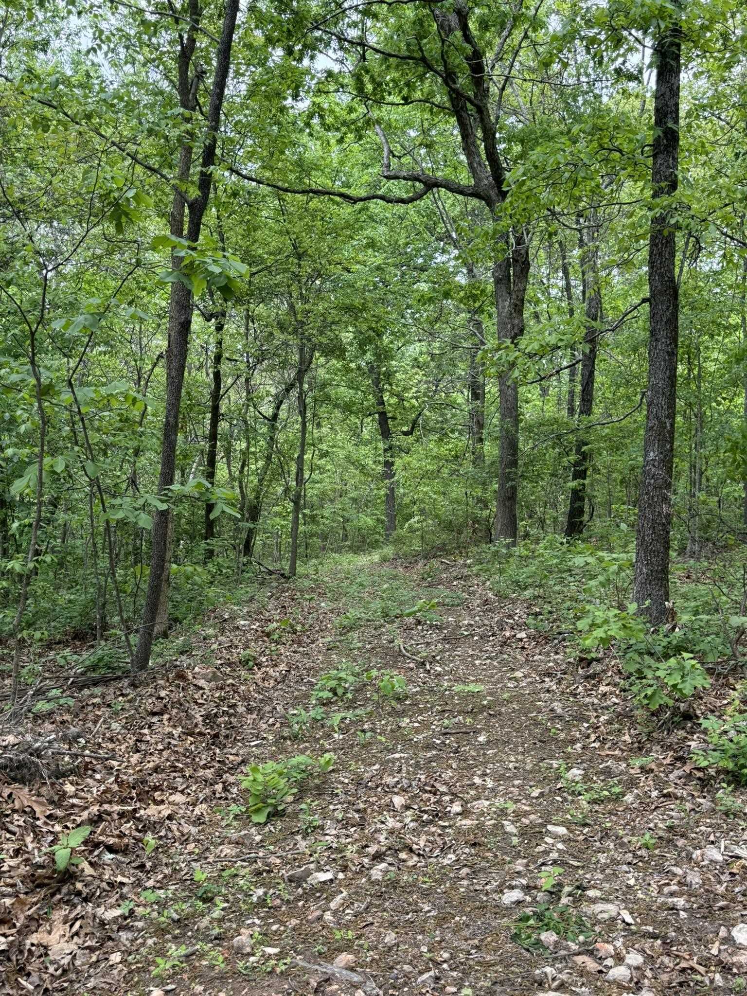 Photo 14 - Vacant Land for sale – 104A  Williamson Trail   Guion, AR