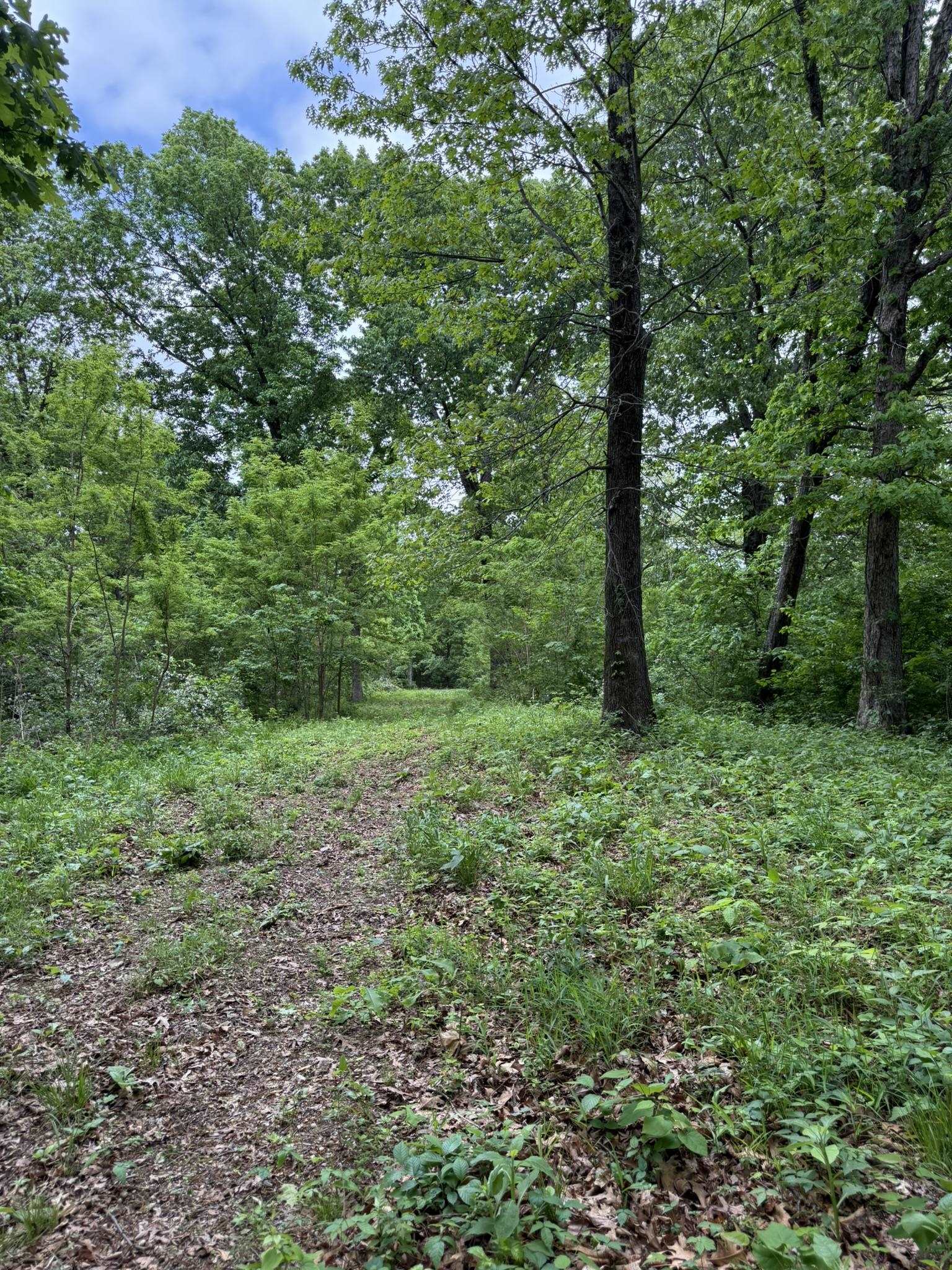 Photo 17 - Vacant Land for sale – 104A  Williamson Trail   Guion, AR