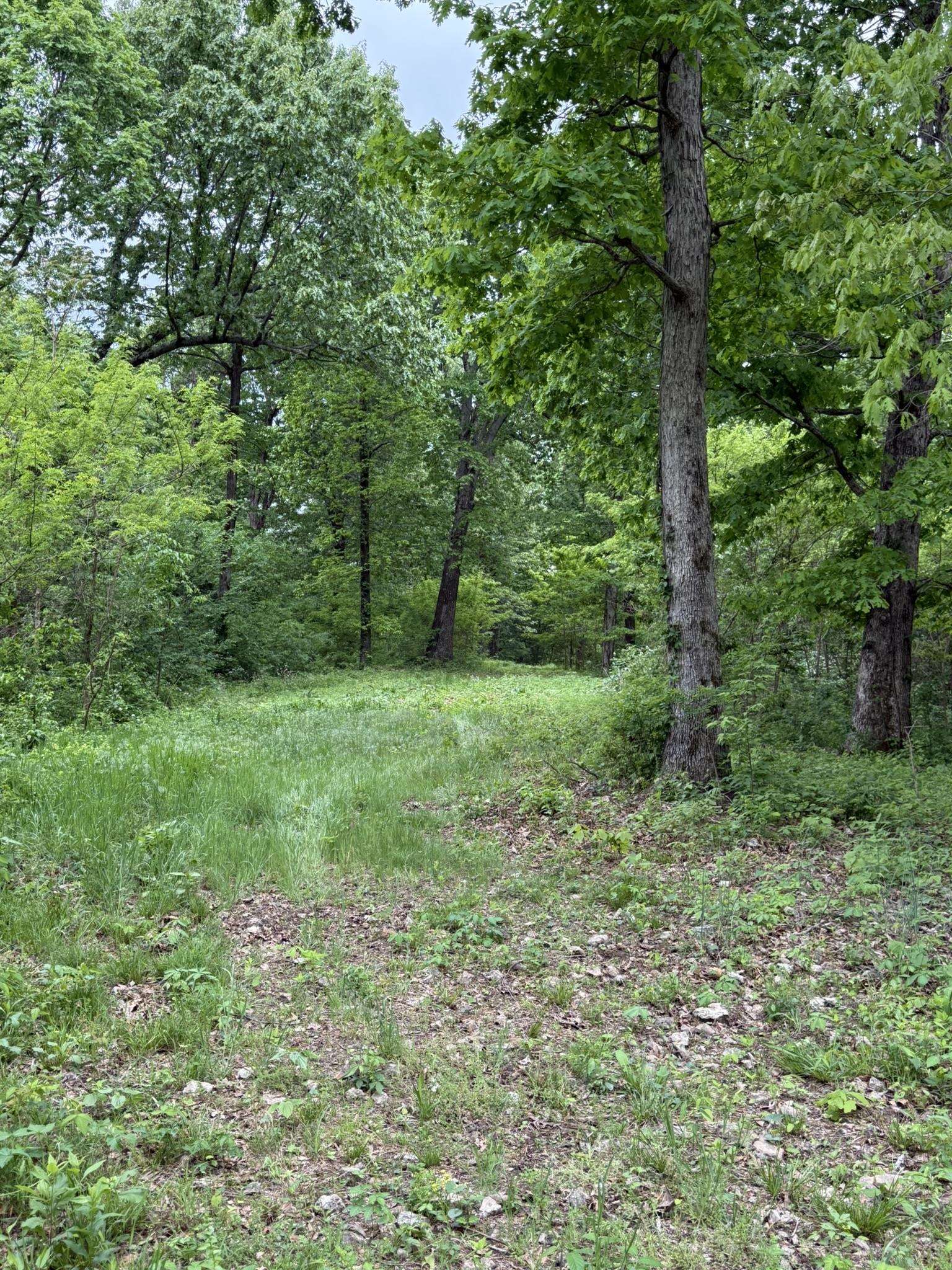 Photo 18 - Vacant Land for sale – 104A  Williamson Trail   Guion, AR