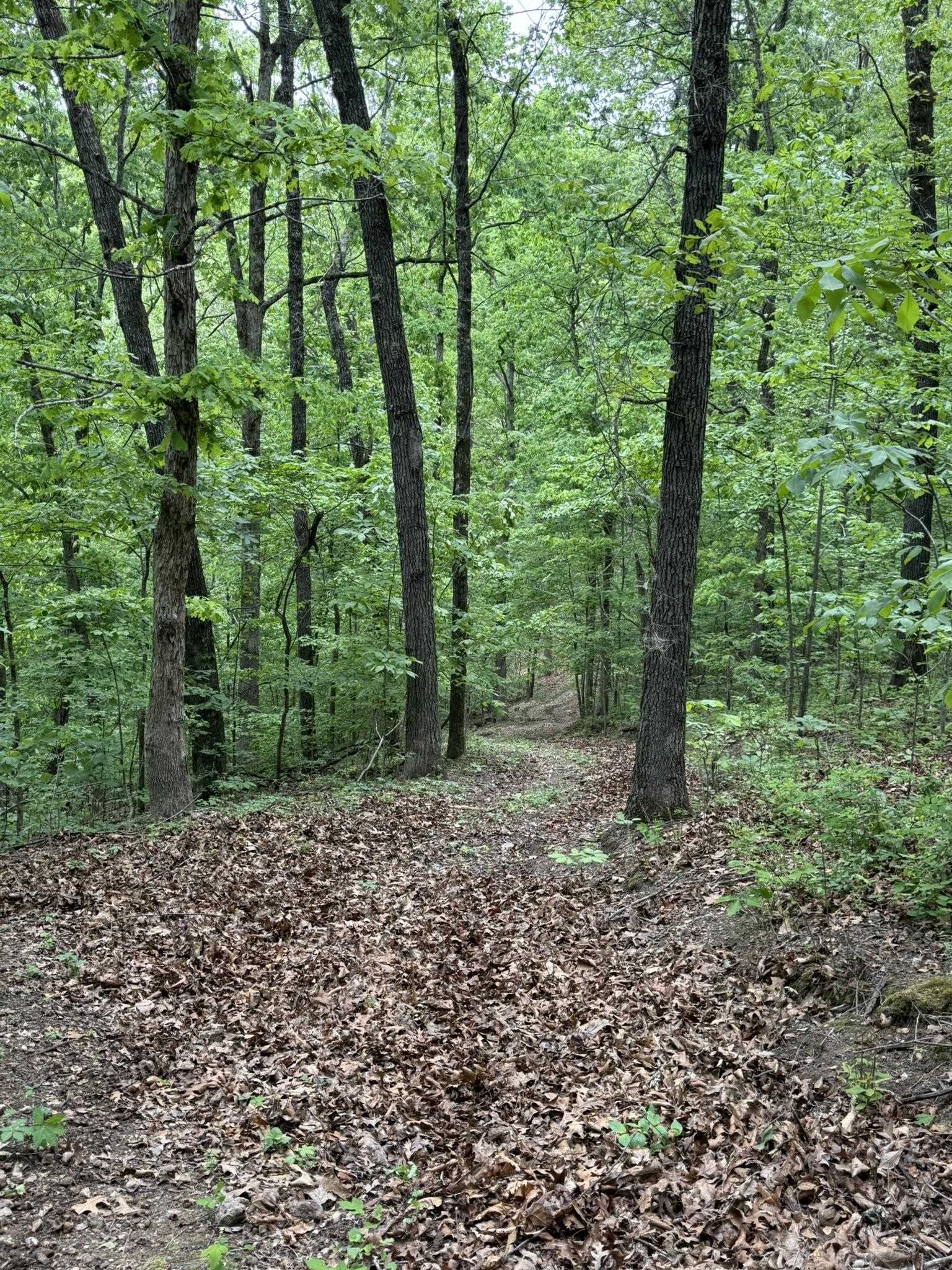Photo 19 - Vacant Land for sale – 104A  Williamson Trail   Guion, AR