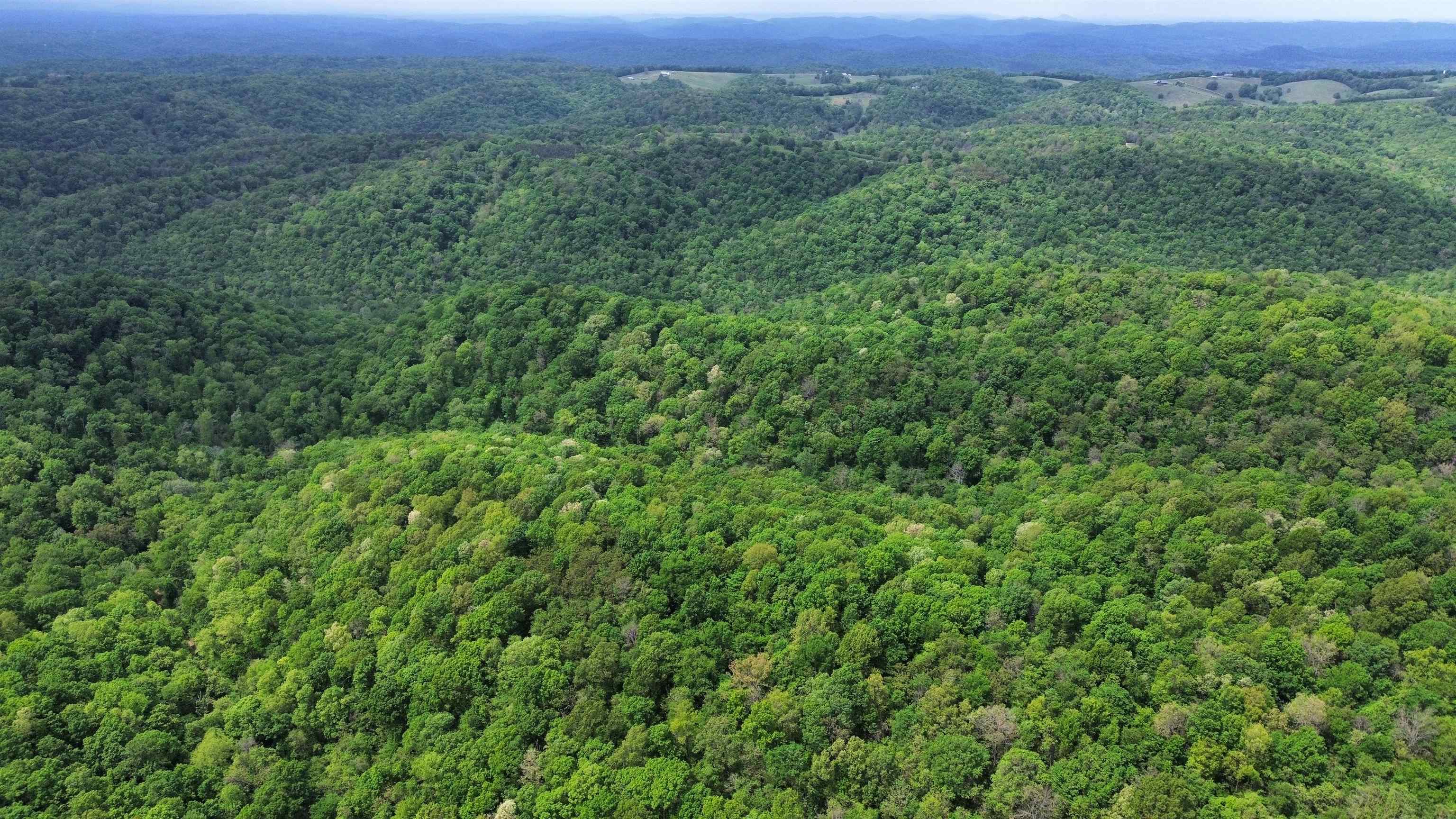 Photo 3 - Vacant Land for sale – 104A  Williamson Trail   Guion, AR