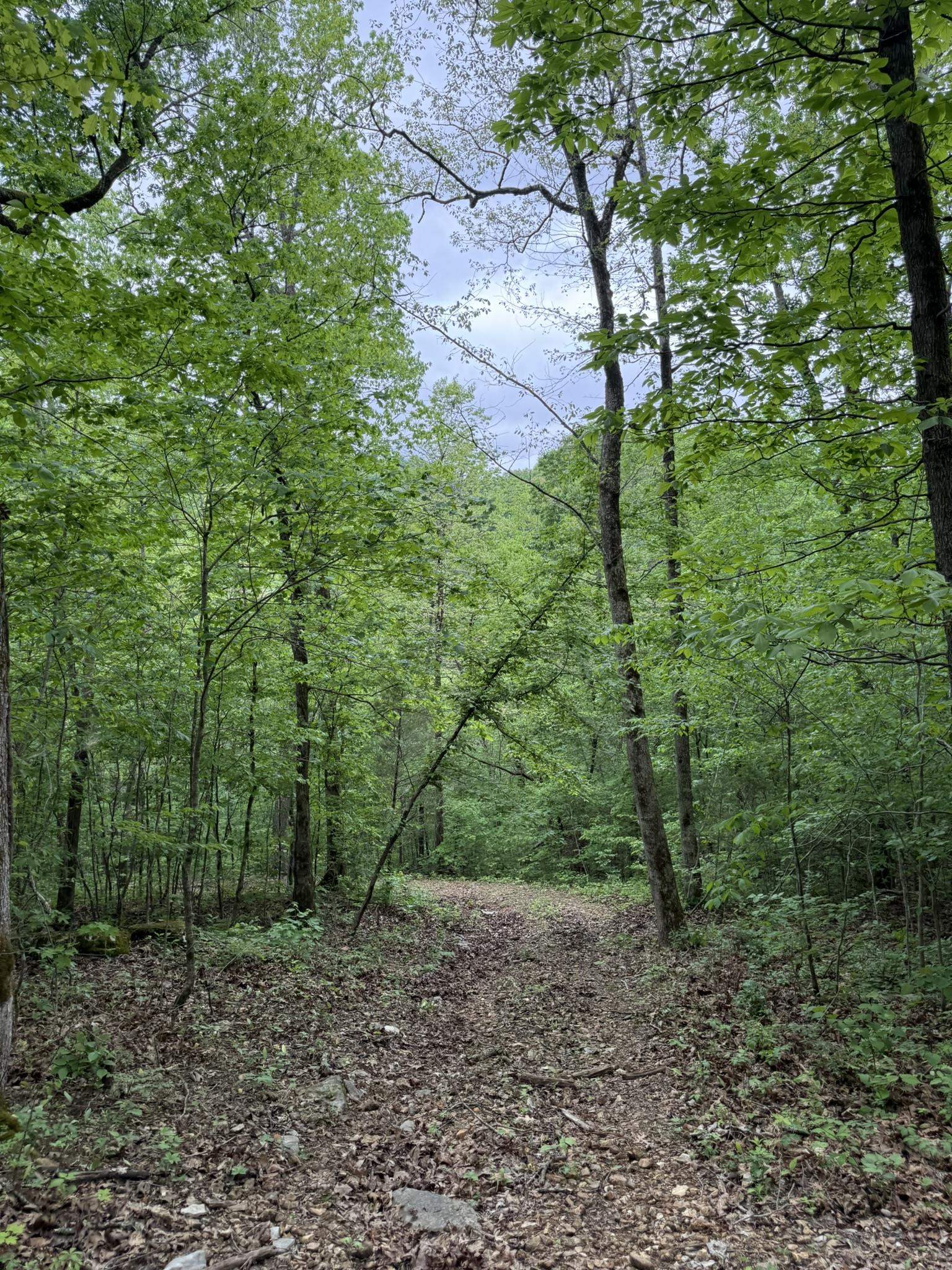 Photo 21 - Vacant Land for sale – 104A  Williamson Trail   Guion, AR