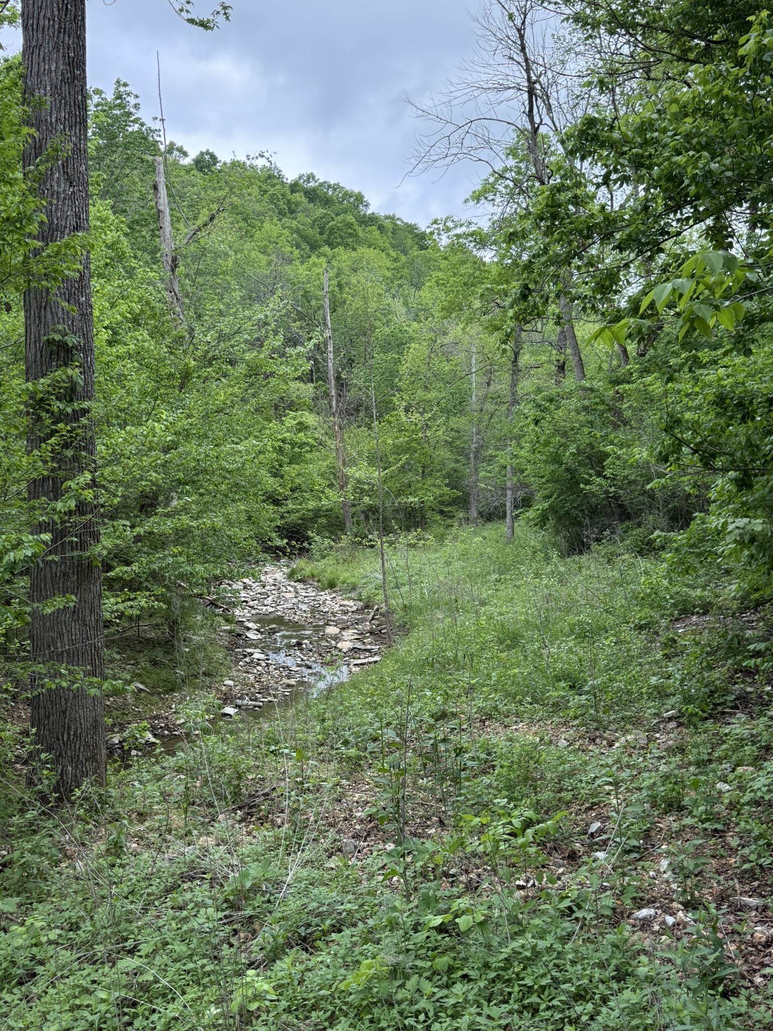 Photo 22 - Vacant Land for sale – 104A  Williamson Trail   Guion, AR
