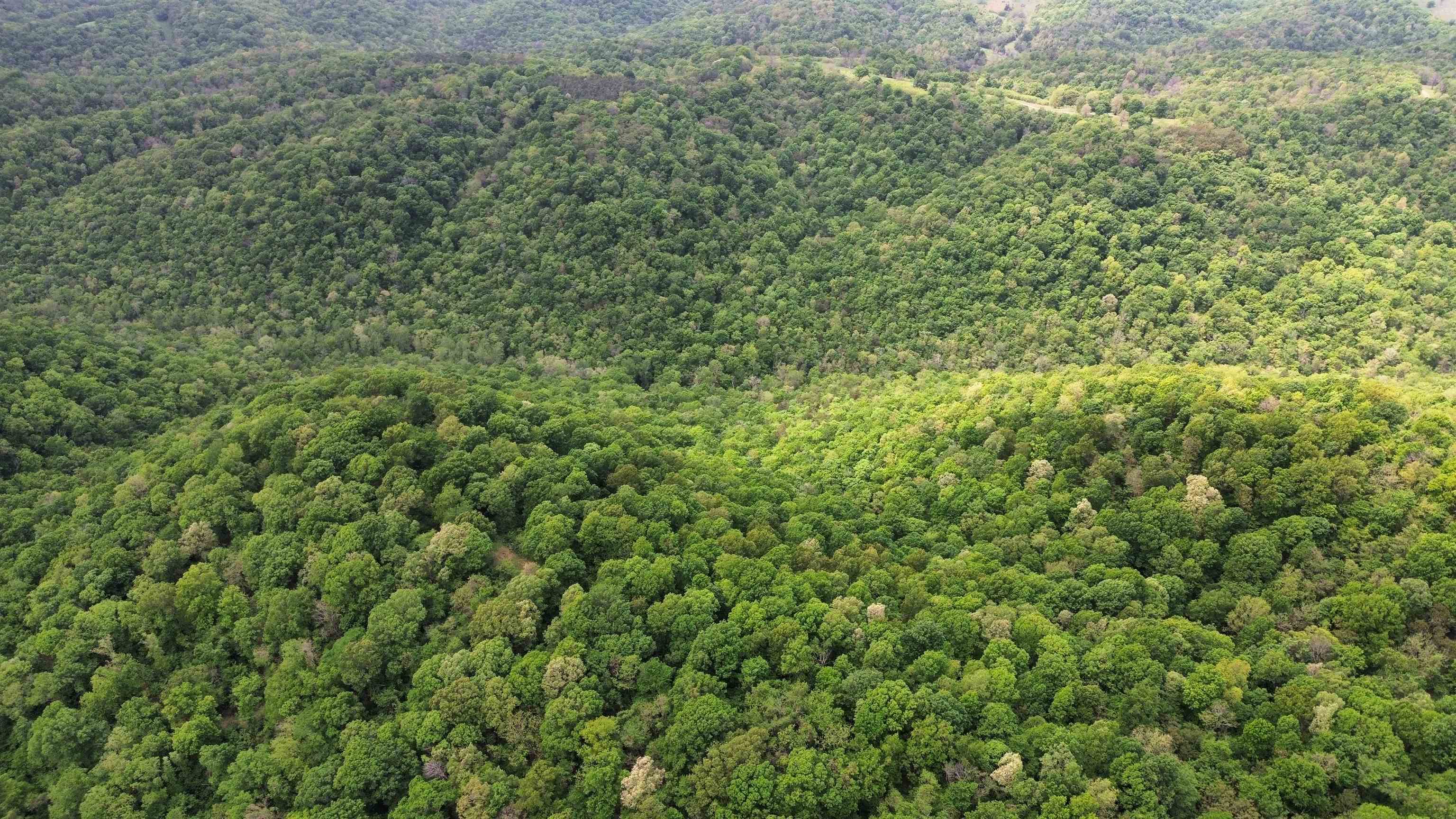 Photo 23 - Vacant Land for sale – 104A  Williamson Trail   Guion, AR