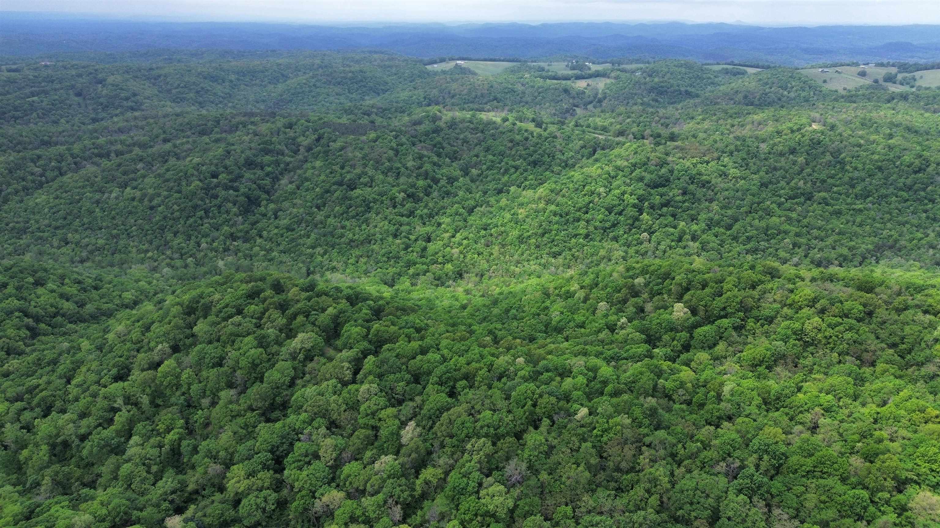 Photo 24 - Vacant Land for sale – 104A  Williamson Trail   Guion, AR