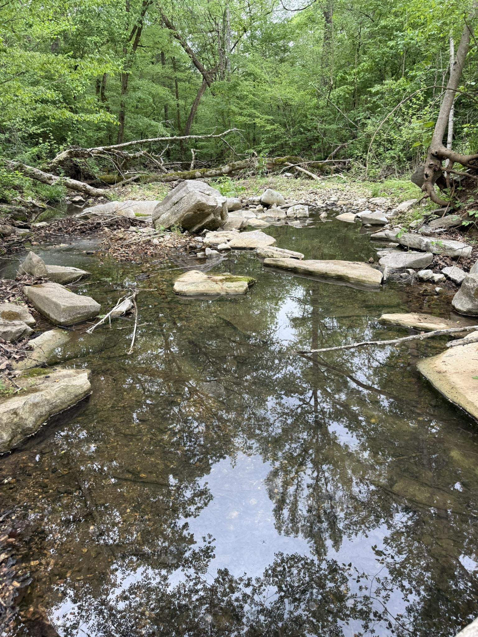 Photo 4 - Vacant Land for sale – 104A  Williamson Trail   Guion, AR