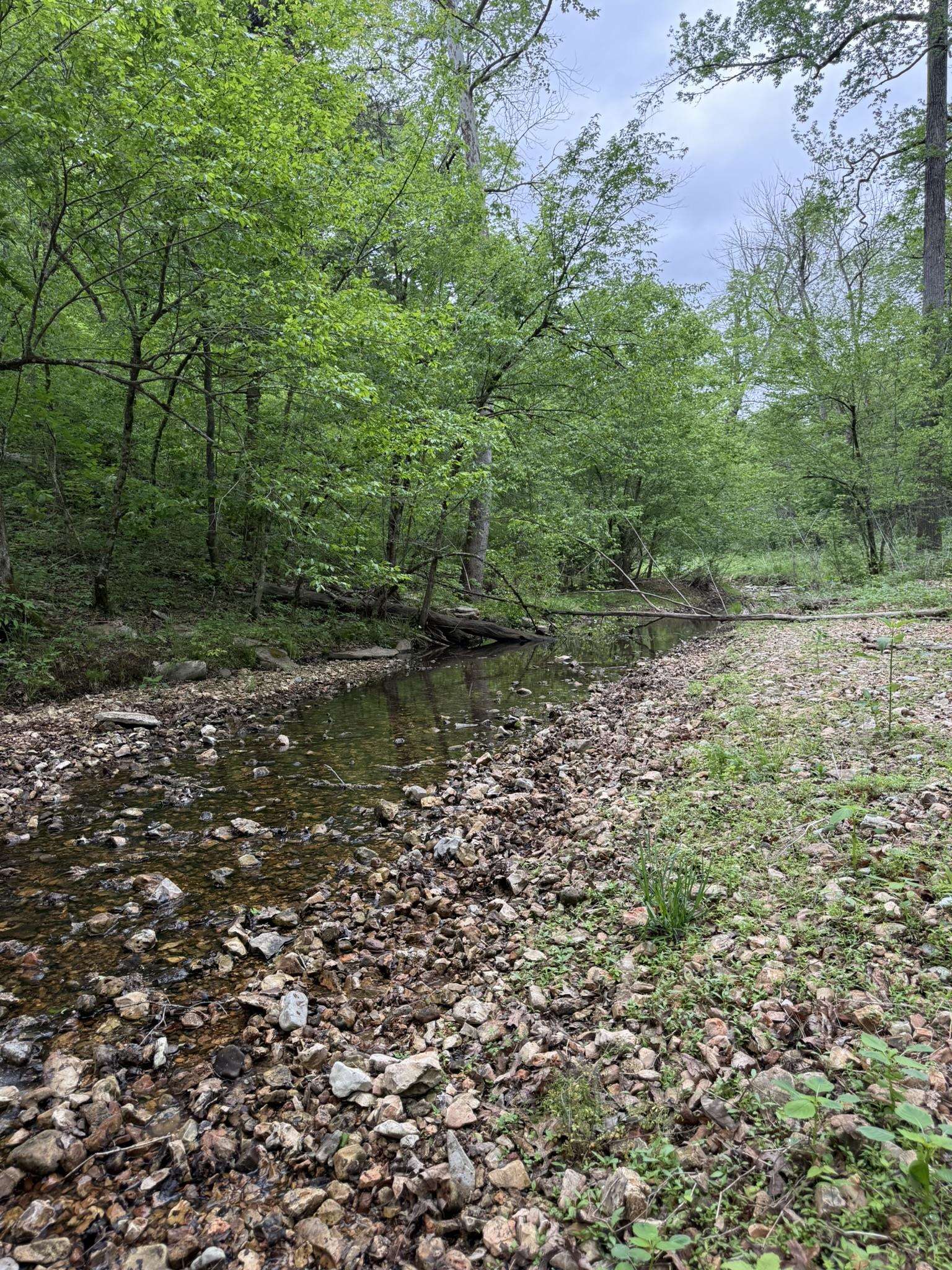 Photo 5 - Vacant Land for sale – 104A  Williamson Trail   Guion, AR