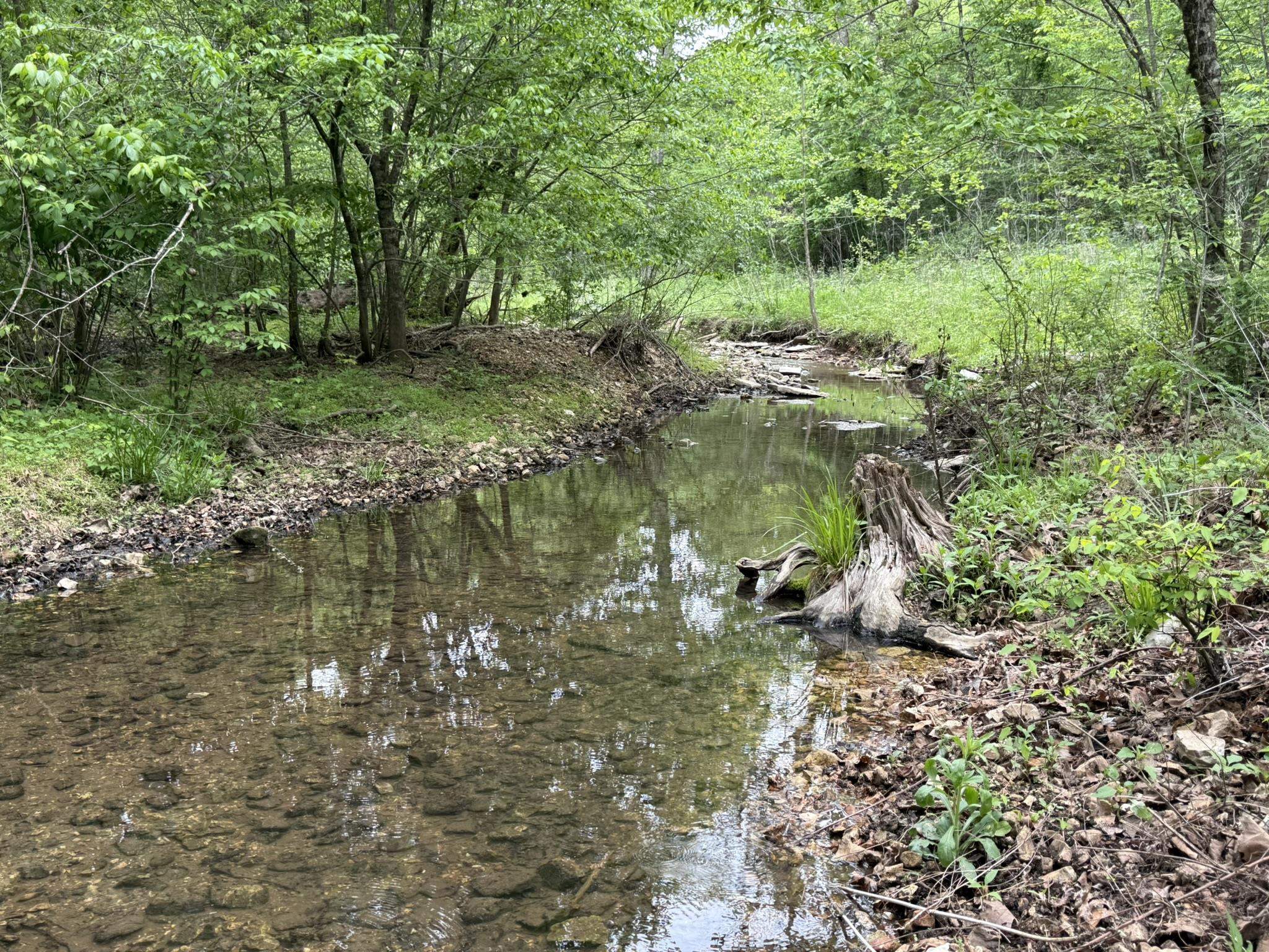 Photo 6 - Vacant Land for sale – 104A  Williamson Trail   Guion, AR