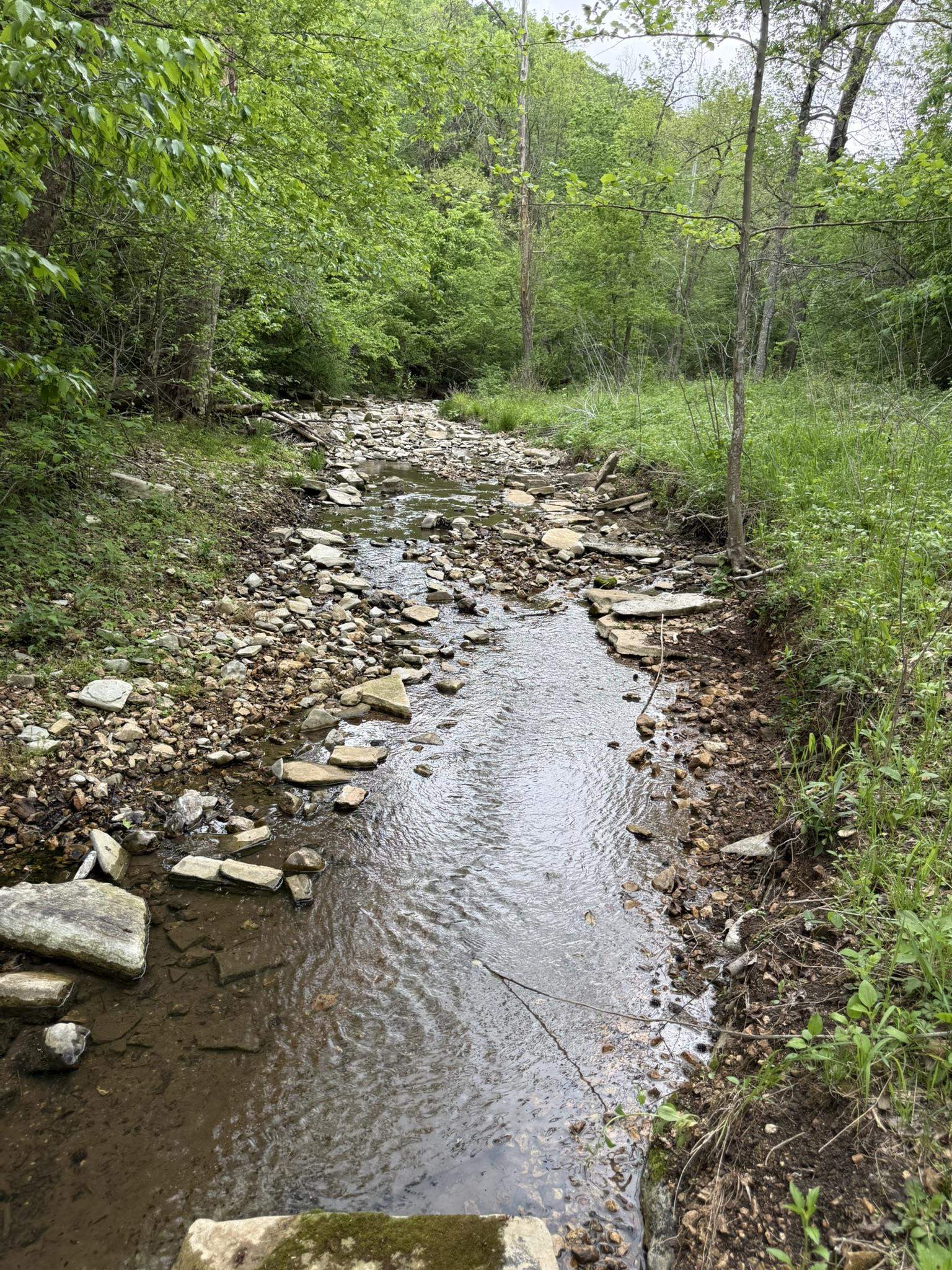 Photo 7 - Vacant Land for sale – 104A  Williamson Trail   Guion, AR