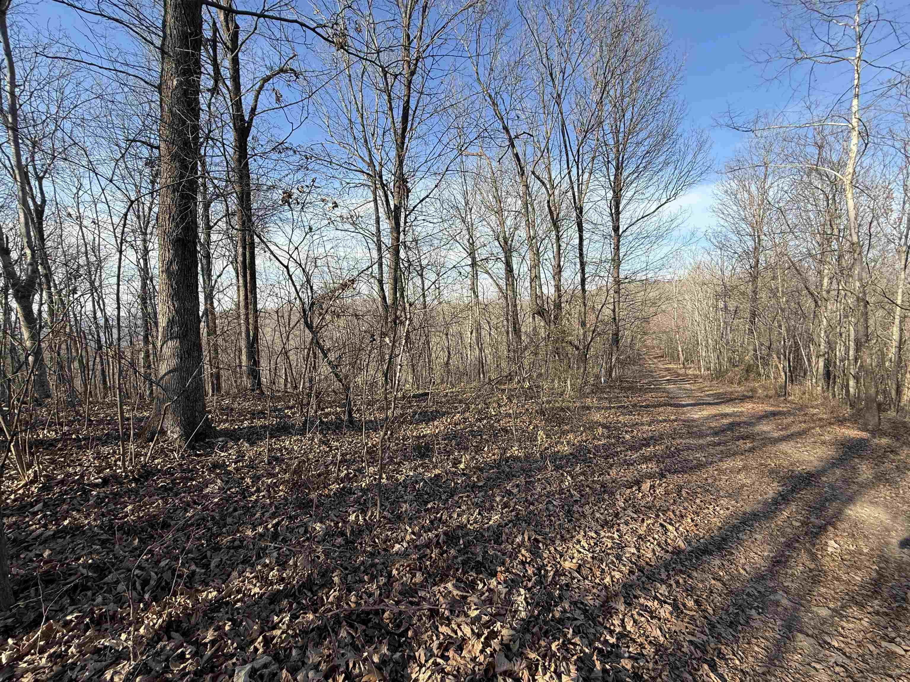 Photo 11 - Vacant Land for sale – 115A  Greasy Bottom Road   Melbourne, AR