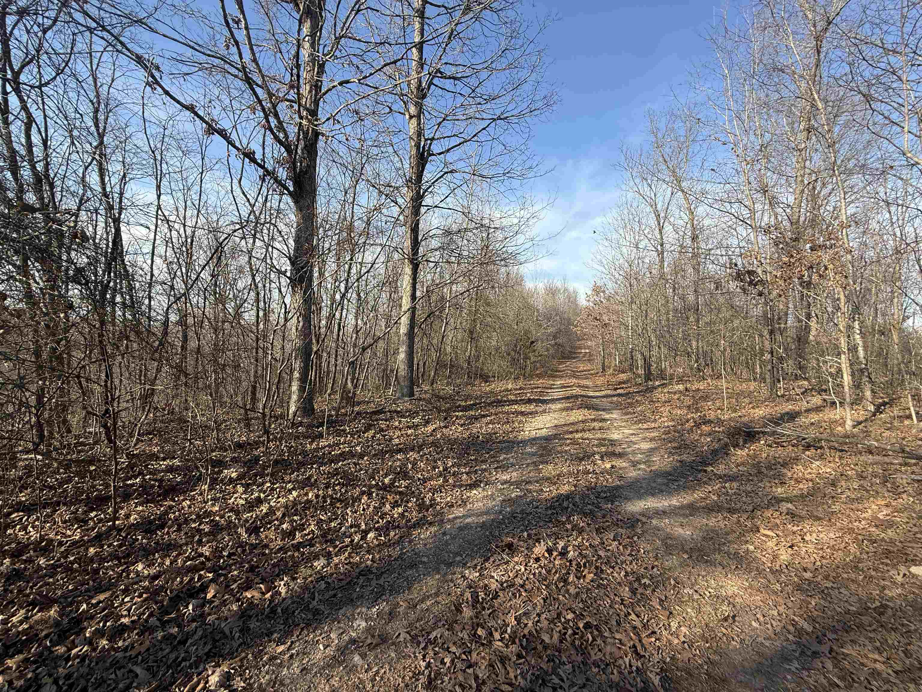 Photo 12 - Vacant Land for sale – 115A  Greasy Bottom Road   Melbourne, AR