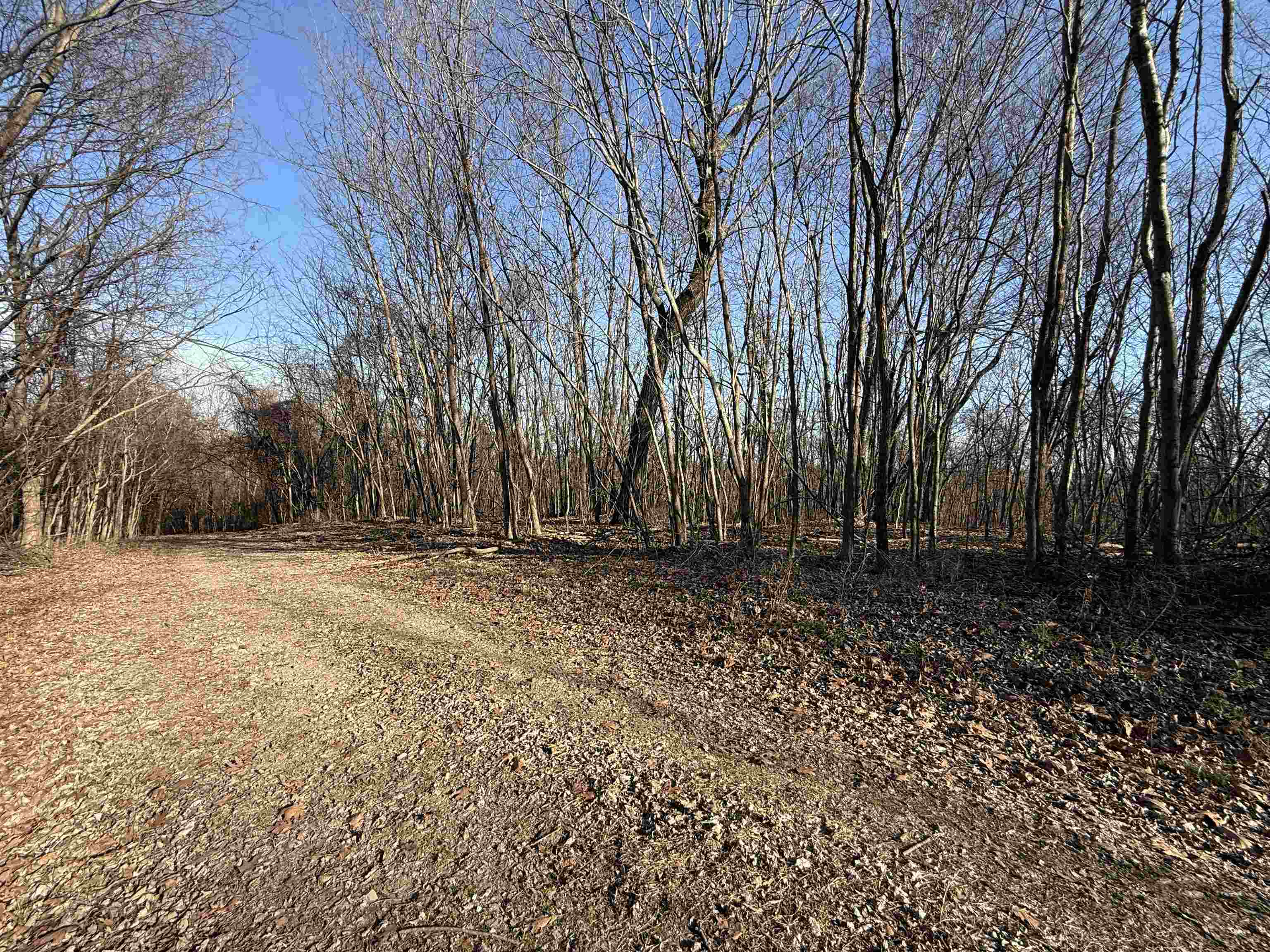Photo 25 - Vacant Land for sale – 115A  Greasy Bottom Road   Melbourne, AR