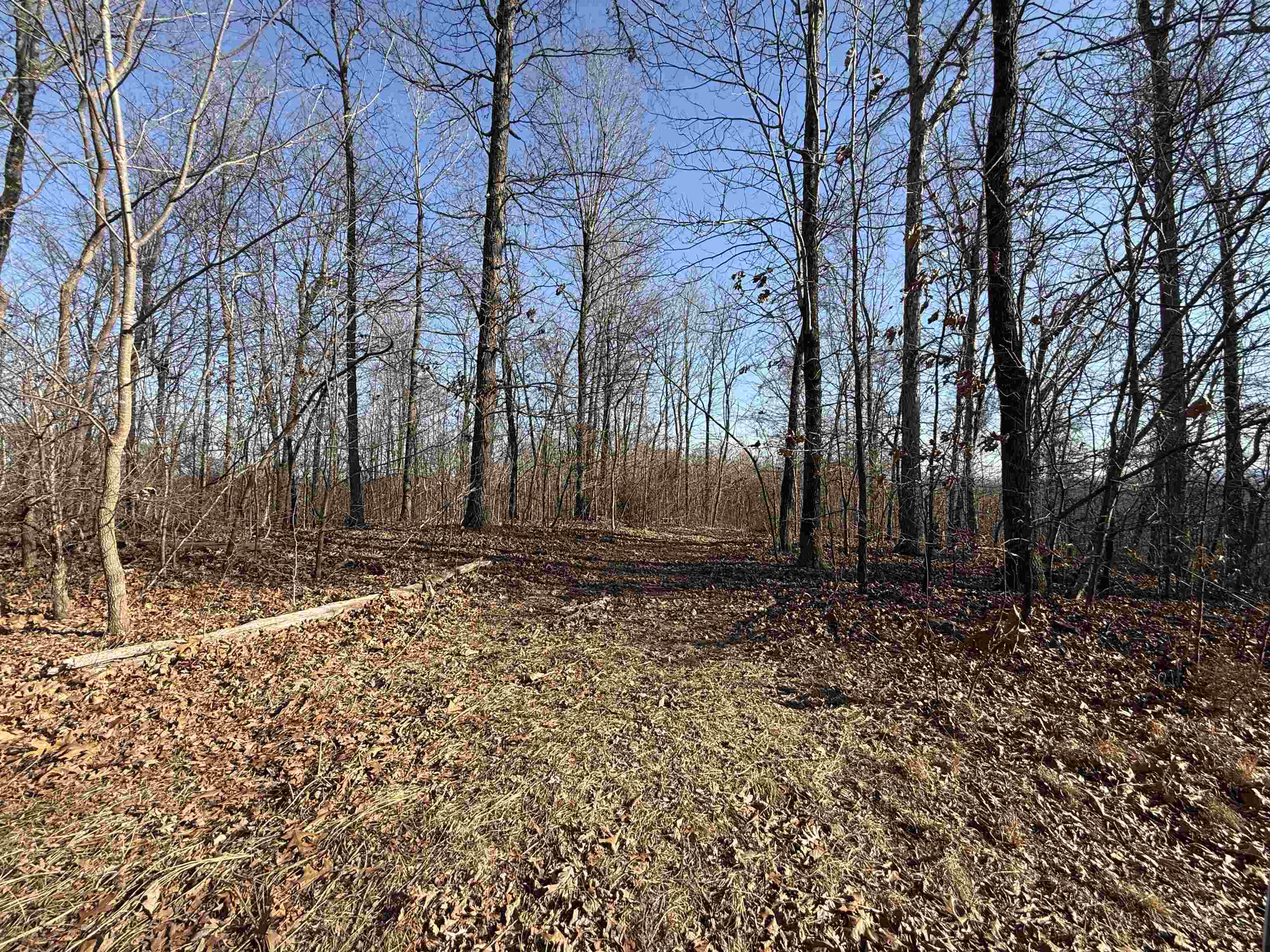 Photo 26 - Vacant Land for sale – 115A  Greasy Bottom Road   Melbourne, AR