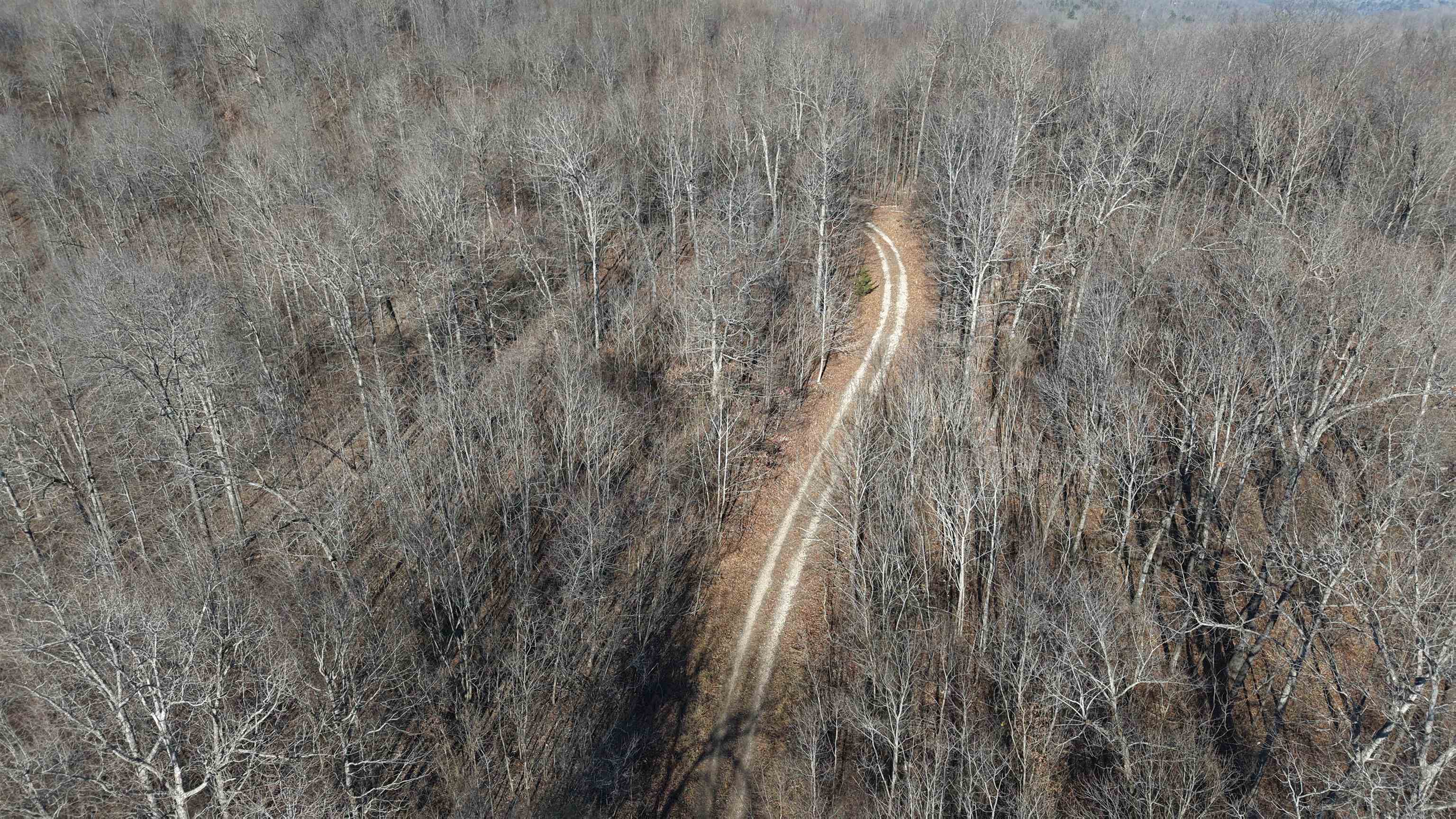 Photo 4 - Vacant Land for sale – 115A  Greasy Bottom Road   Melbourne, AR