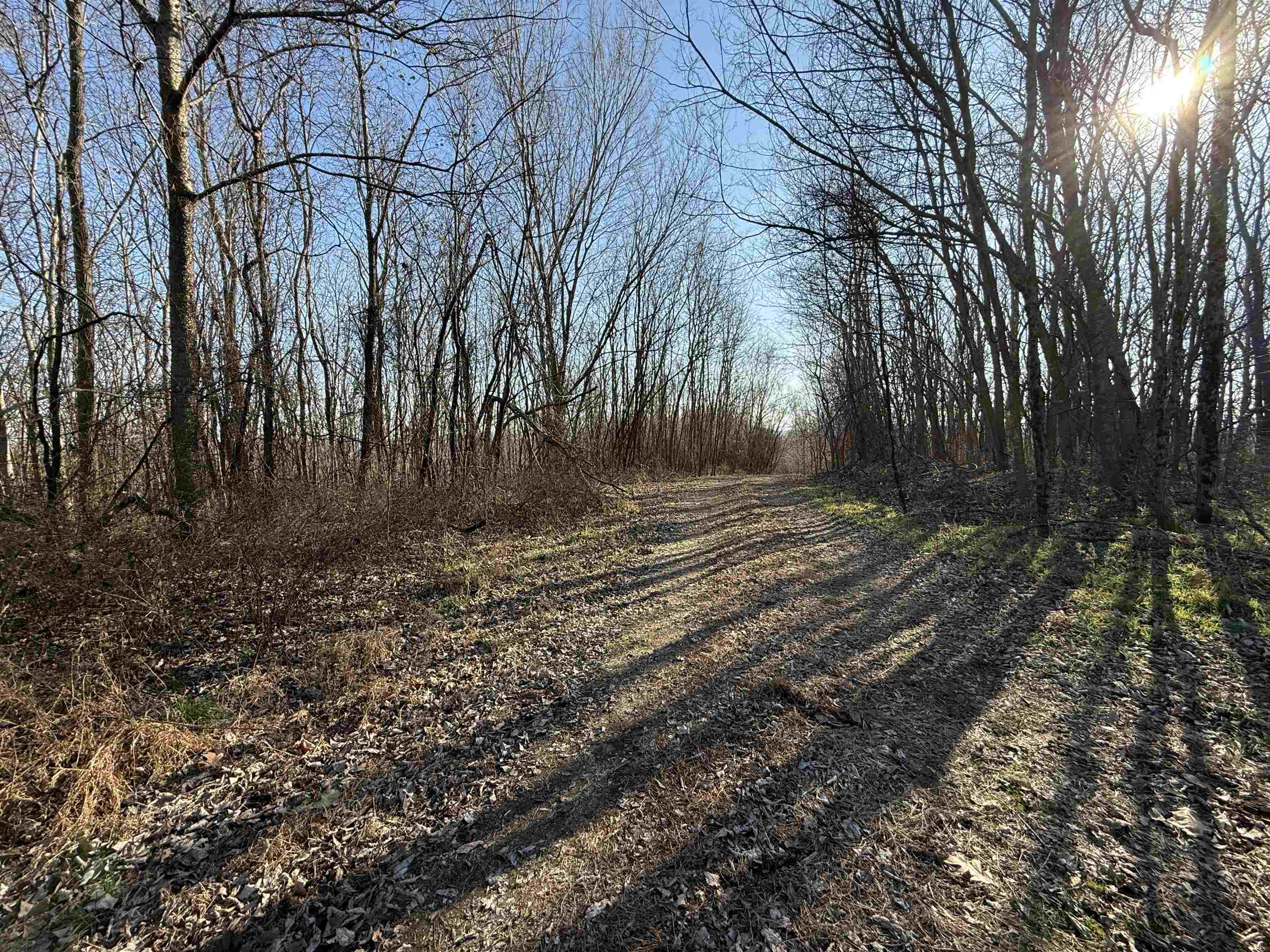 Photo 10 - Vacant Land for sale – 115A  Greasy Bottom Road   Melbourne, AR