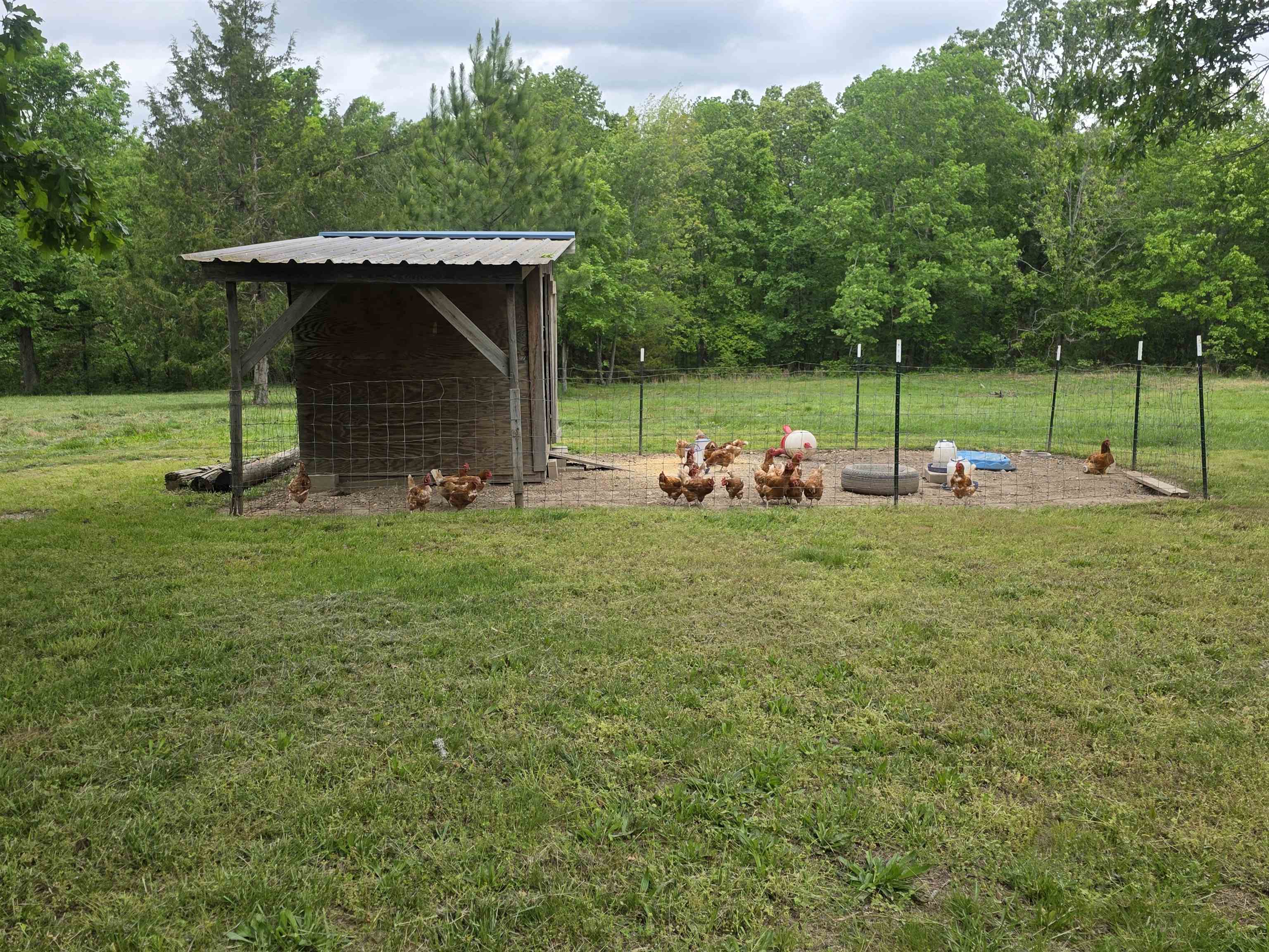 Photo 13 - Residential for sale – 406 E CC   Hardy, AR