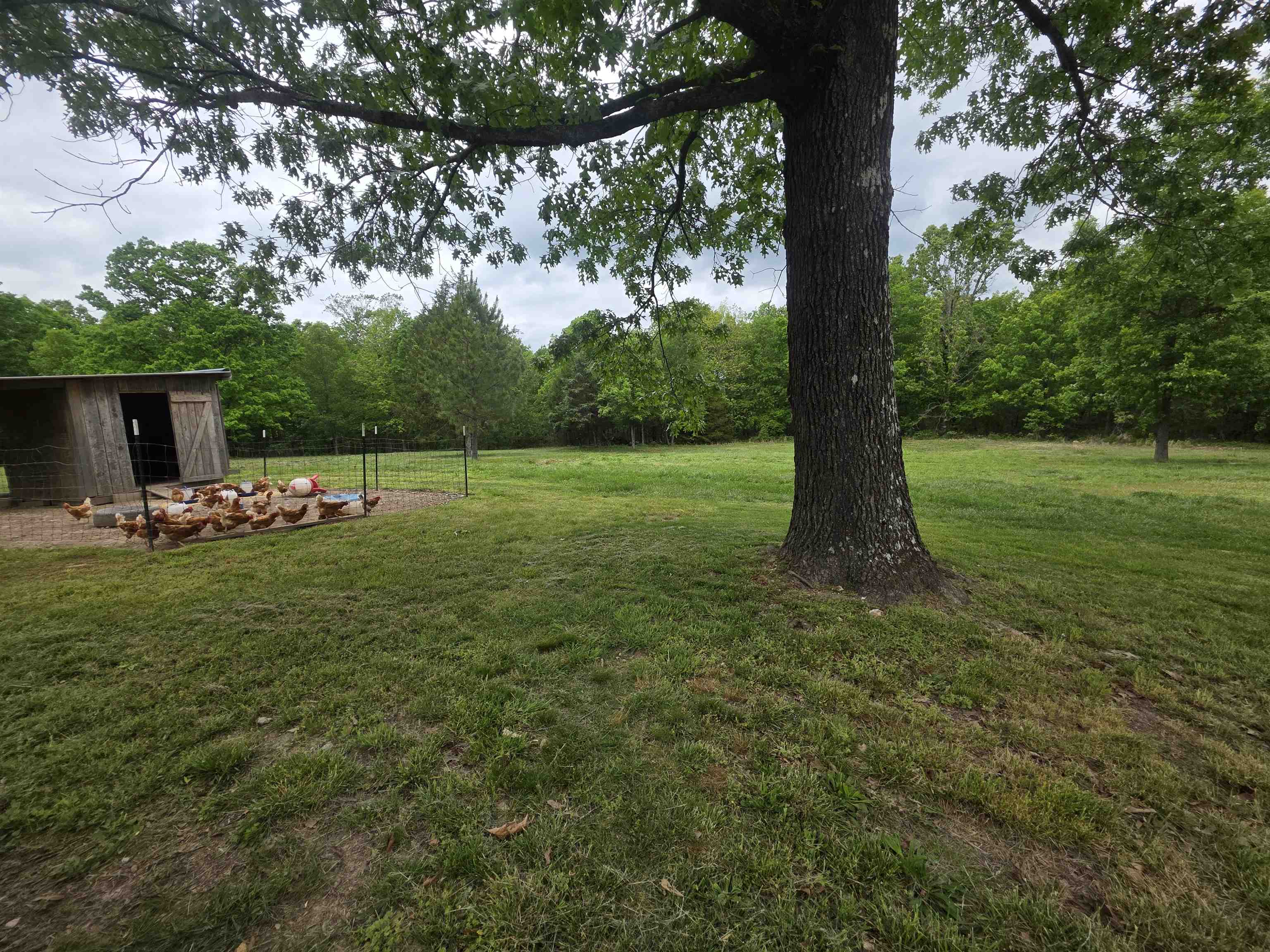 Photo 14 - Residential for sale – 406 E CC   Hardy, AR