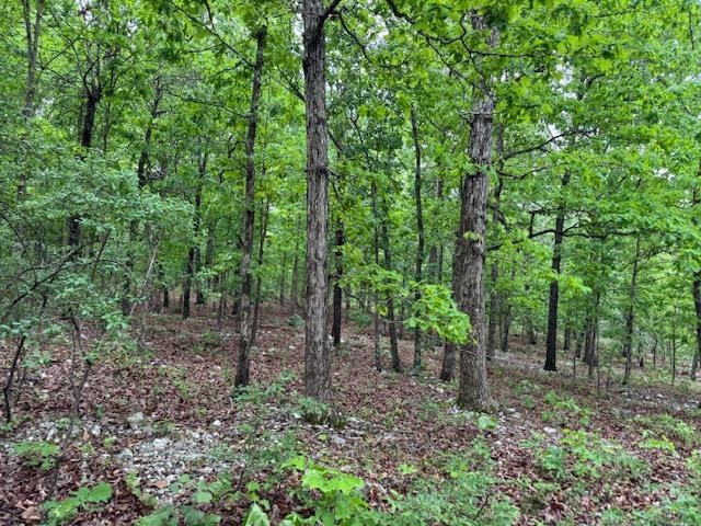 Vacant Land for sale – 1329  Echowood Cir   Viola, AR
