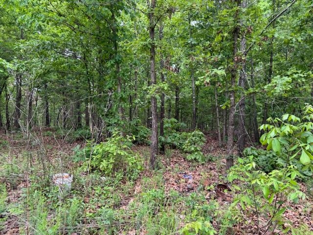 Photo 2 - Vacant Land for sale – 1329  Echowood Cir   Viola, AR