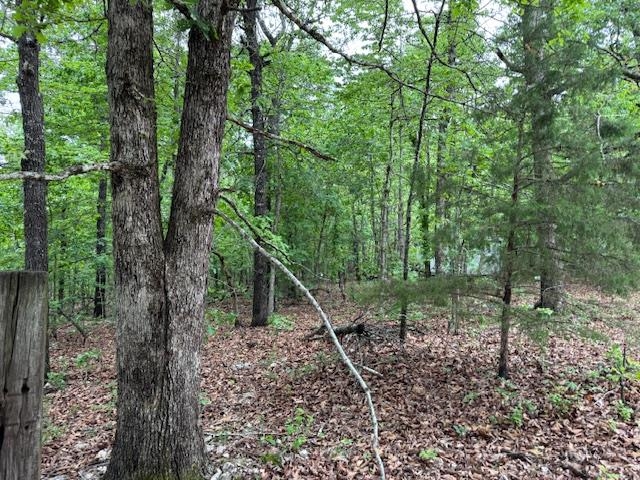 Photo 15 - Vacant Land for sale – 1329  Echowood Cir   Viola, AR