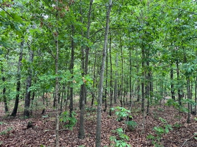 Photo 16 - Vacant Land for sale – 1329  Echowood Cir   Viola, AR