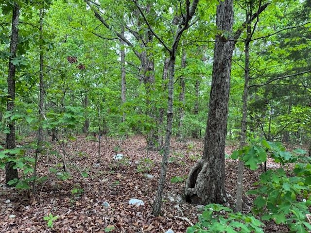 Photo 3 - Vacant Land for sale – 1329  Echowood Cir   Viola, AR