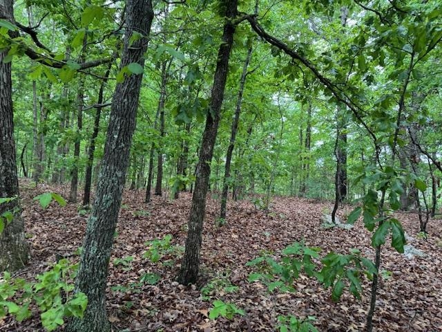 Photo 4 - Vacant Land for sale – 1329  Echowood Cir   Viola, AR