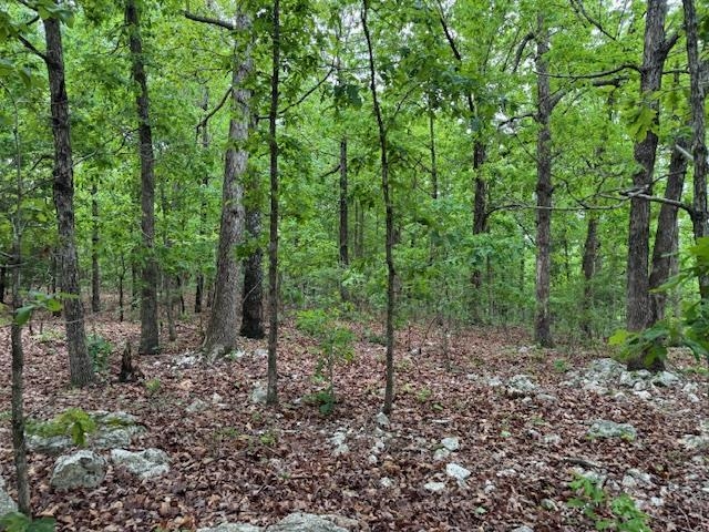 Photo 7 - Vacant Land for sale – 1329  Echowood Cir   Viola, AR