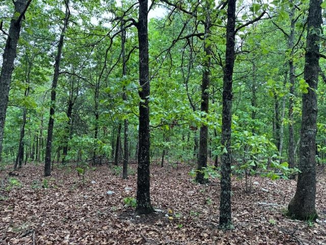 Photo 9 - Vacant Land for sale – 1329  Echowood Cir   Viola, AR