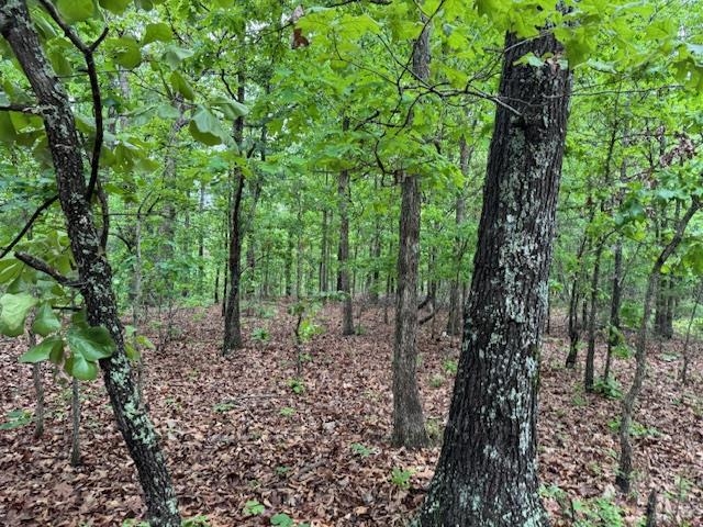 Photo 10 - Vacant Land for sale – 1329  Echowood Cir   Viola, AR