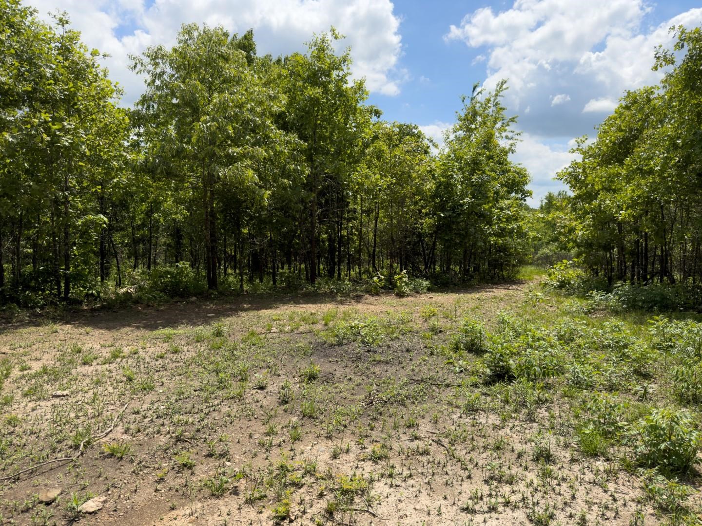 Photo 14 - Residential for sale – 31  Liberty Hill   Hardy, AR