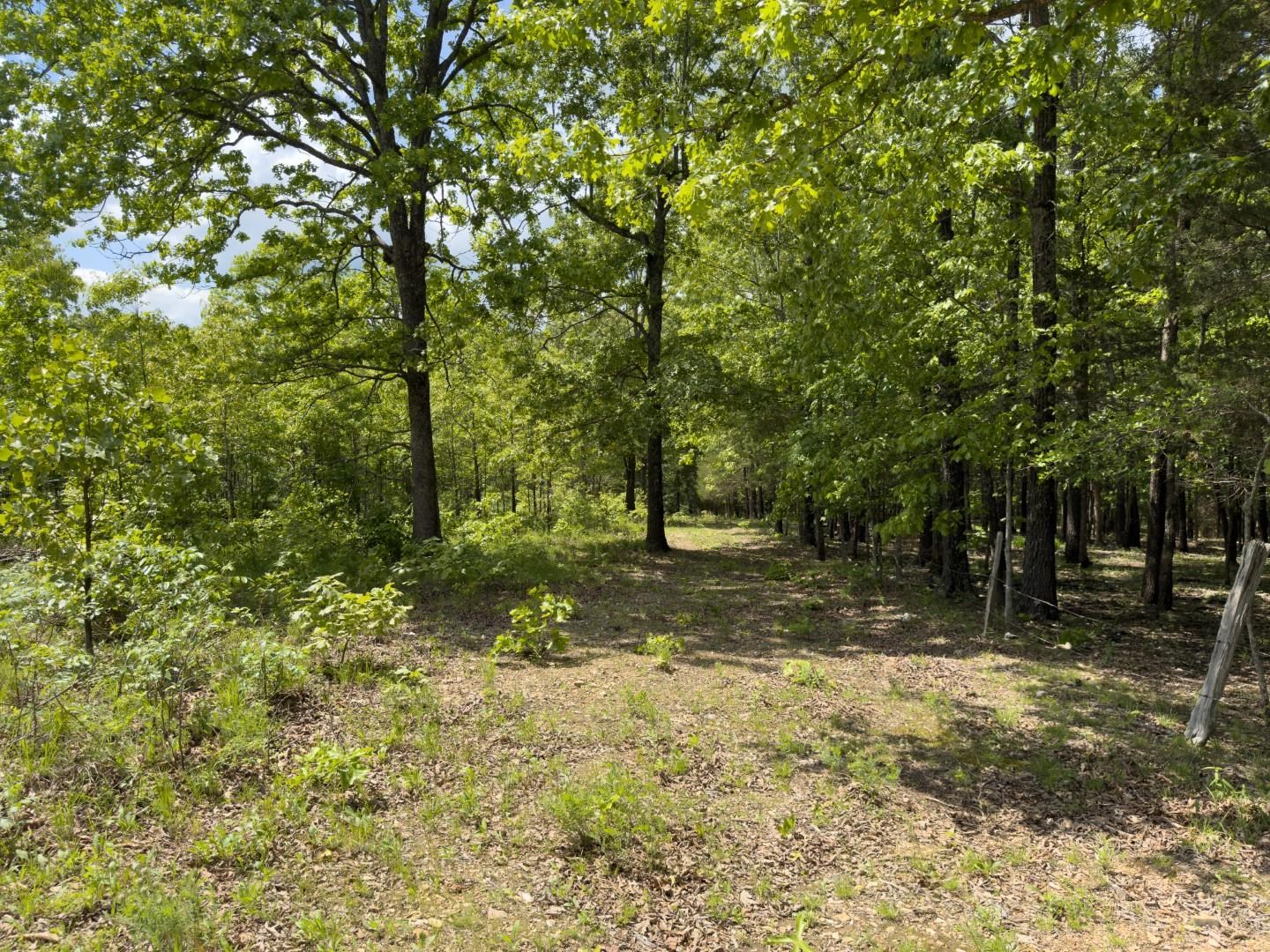 Photo 9 - Residential for sale – 31  Liberty Hill   Hardy, AR