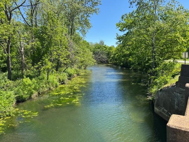 Photo 2 - Vacant Land for sale – TBD  Morriston Rd   Salem, AR