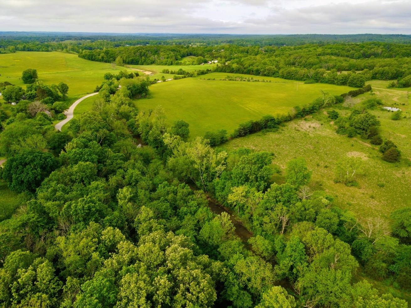 Photo 13 - Vacant Land for sale – TBD  Morriston Rd   Salem, AR